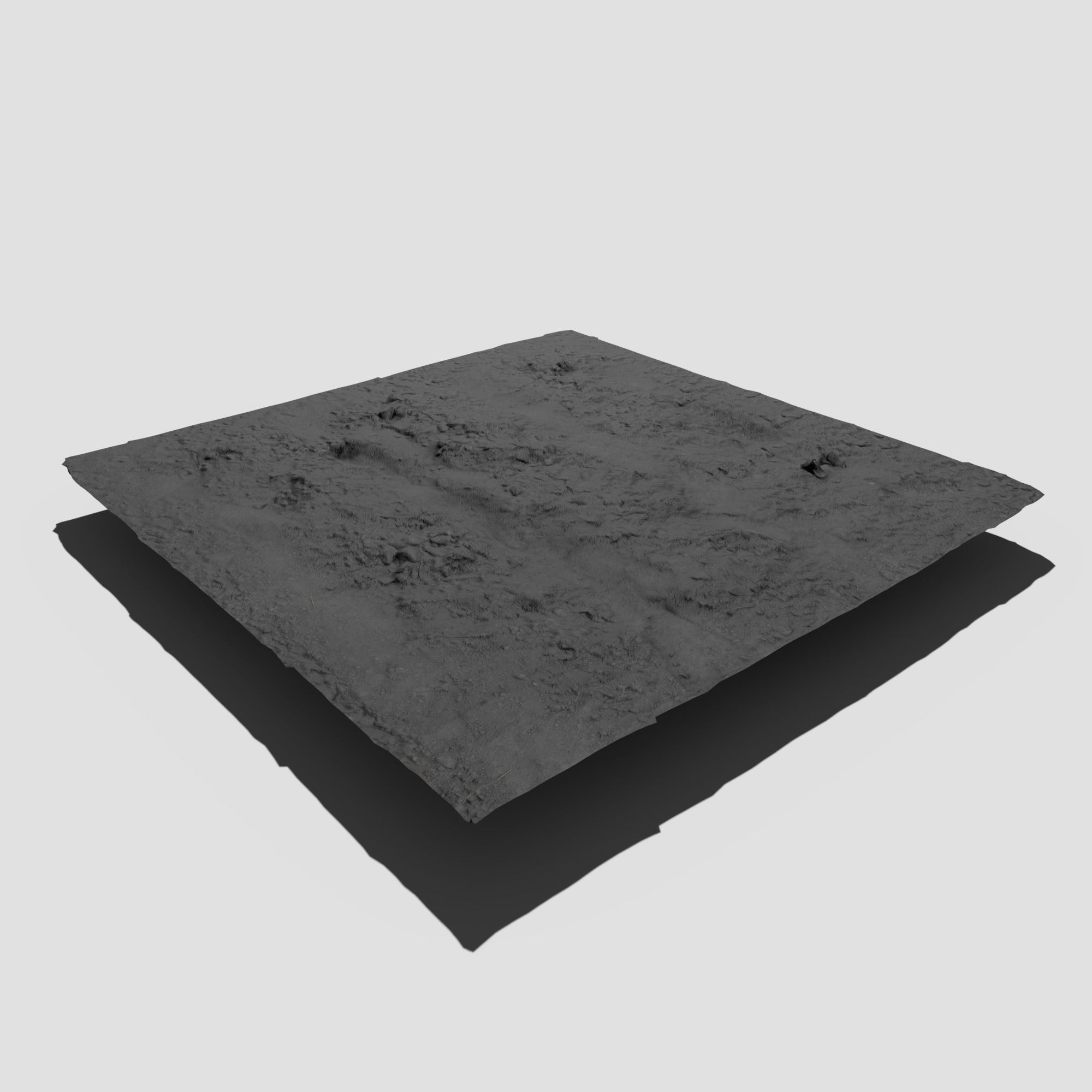 Bloodwort Dense Meadow Patch 3D model_7