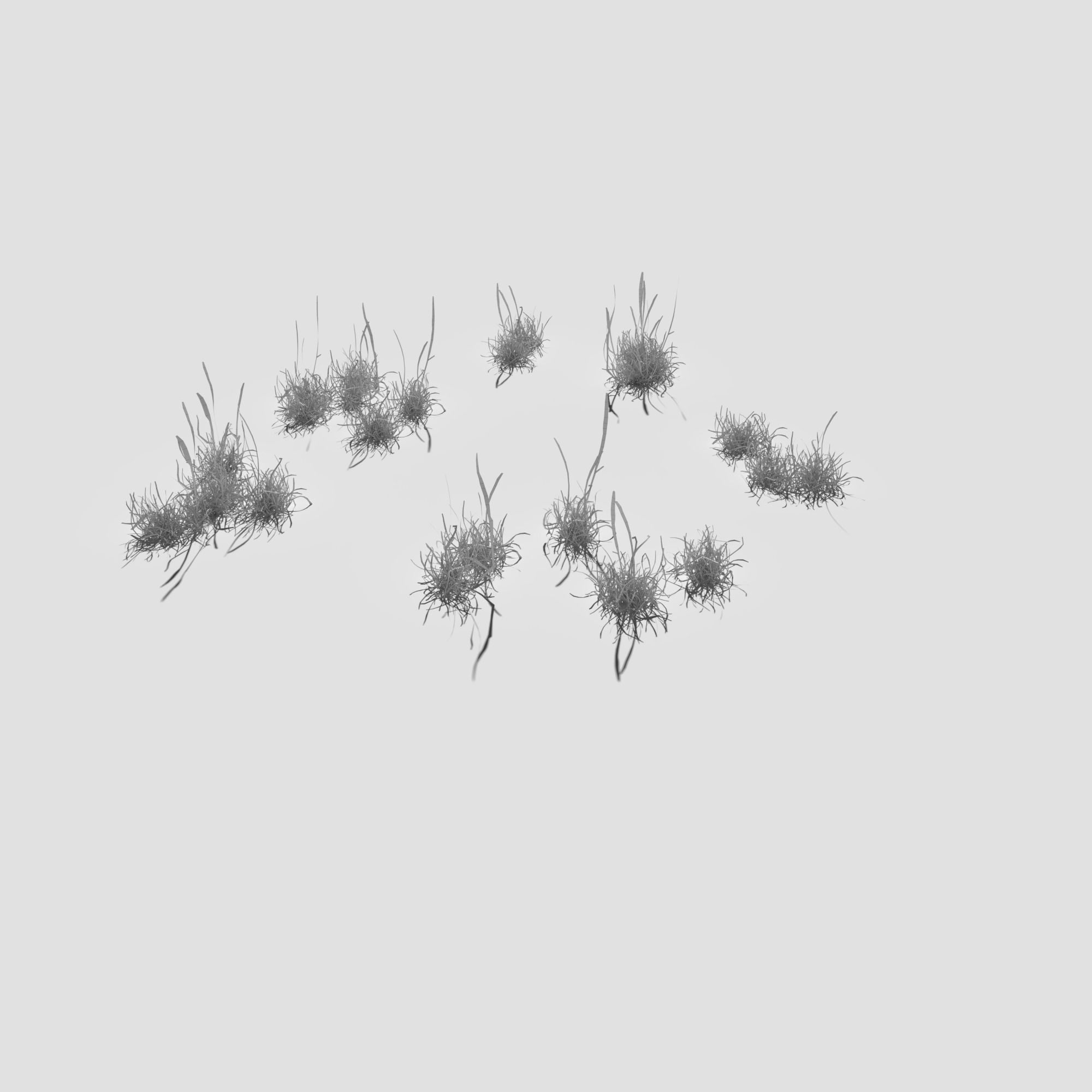 Bloodwort Dense Meadow Patch 3D model_14