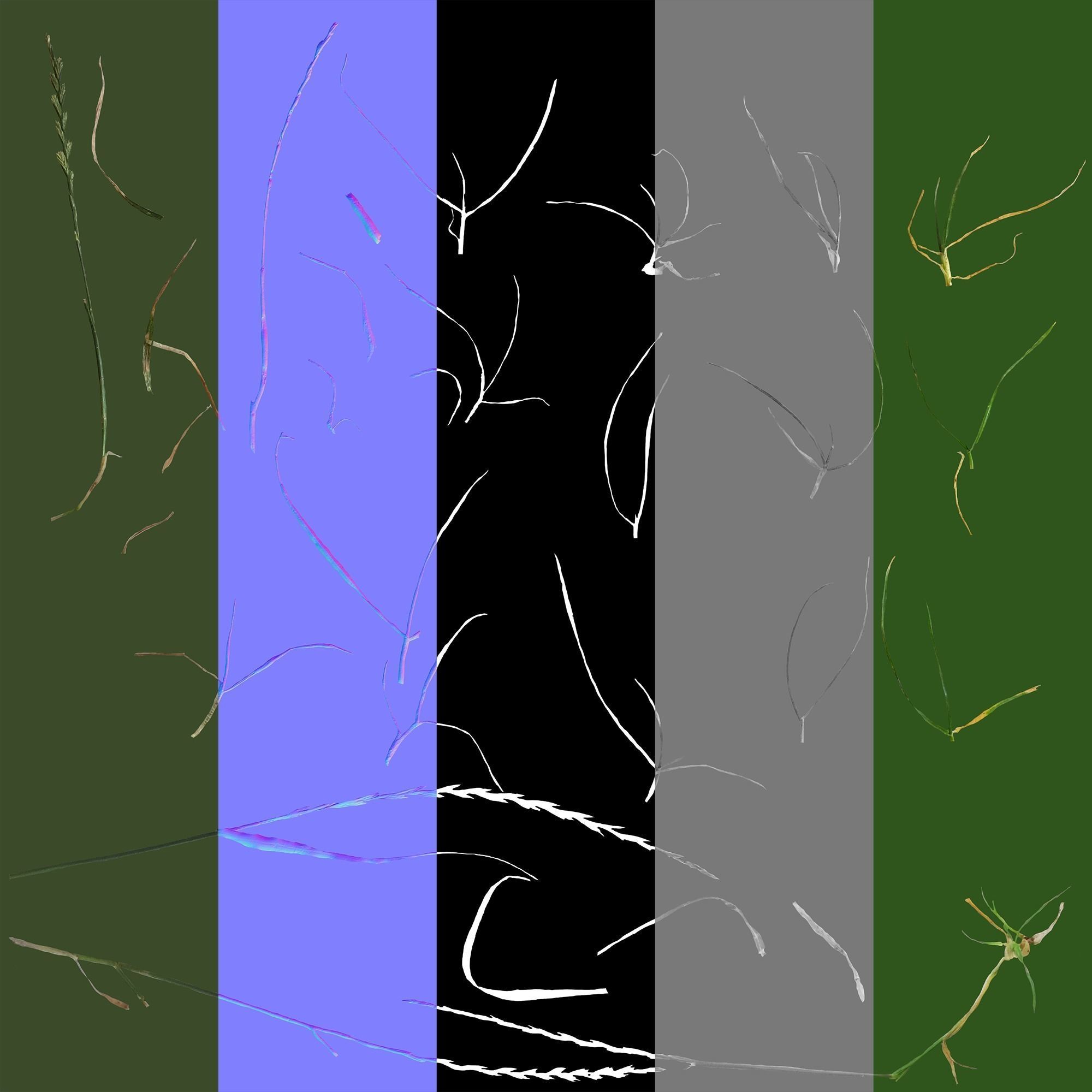 Bloodwort Dense Meadow Patch 3D model_17