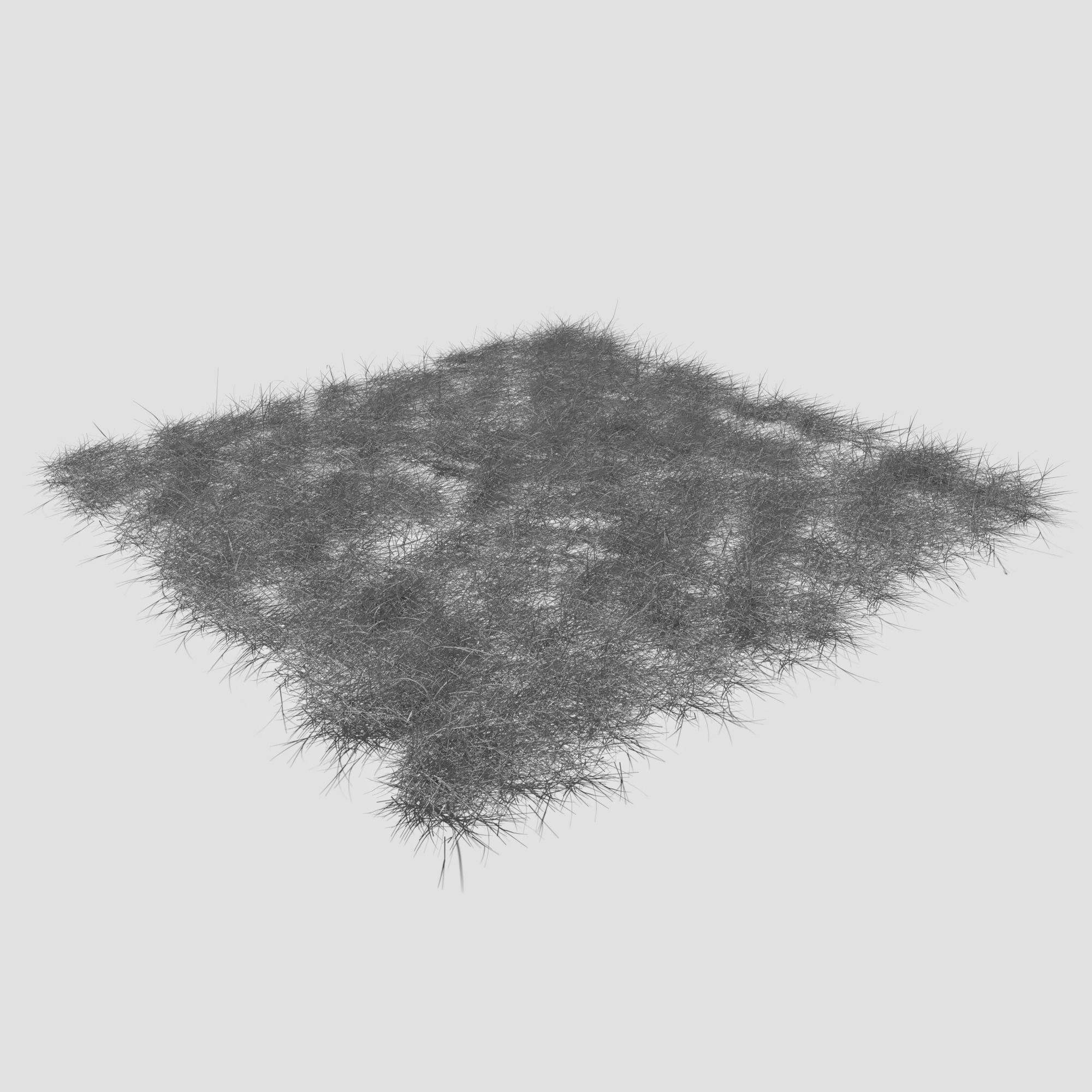 Bloodwort Dense Meadow Patch 3D model_12