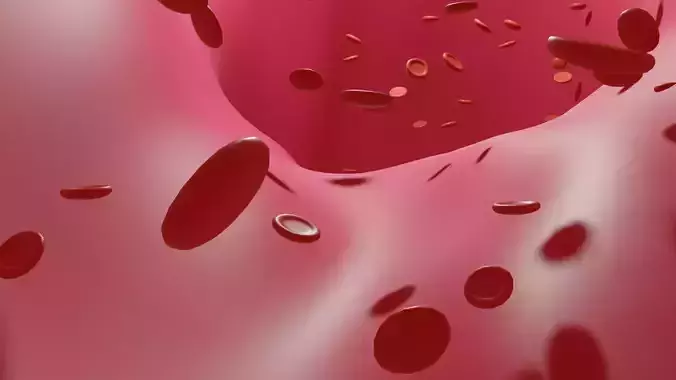 blood cells animated  3D model