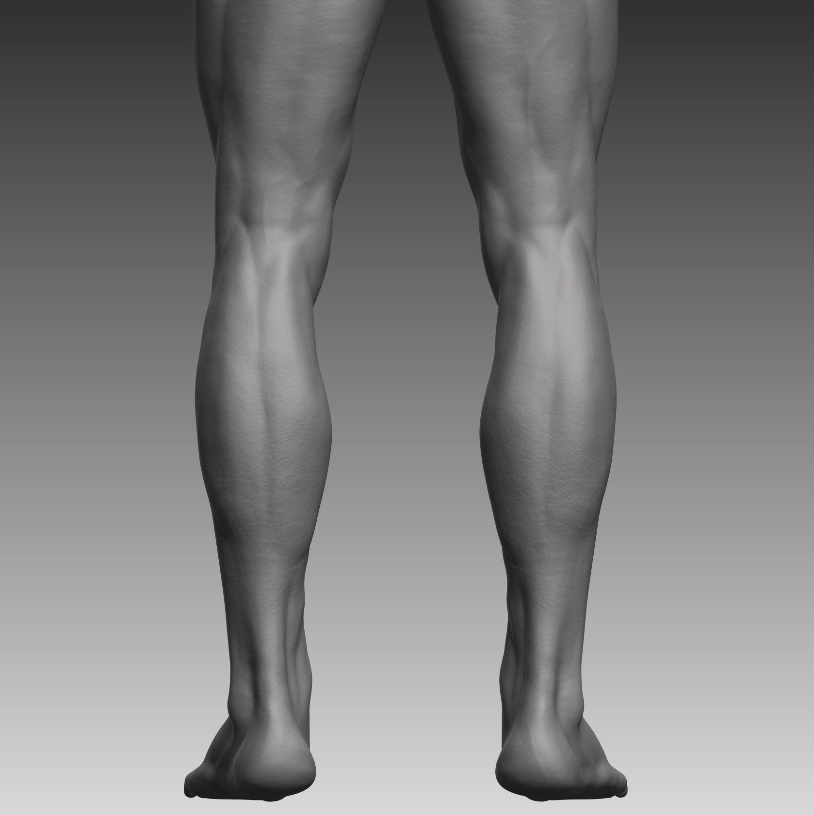 Anatomical body base mesh Low-poly 3D model_9