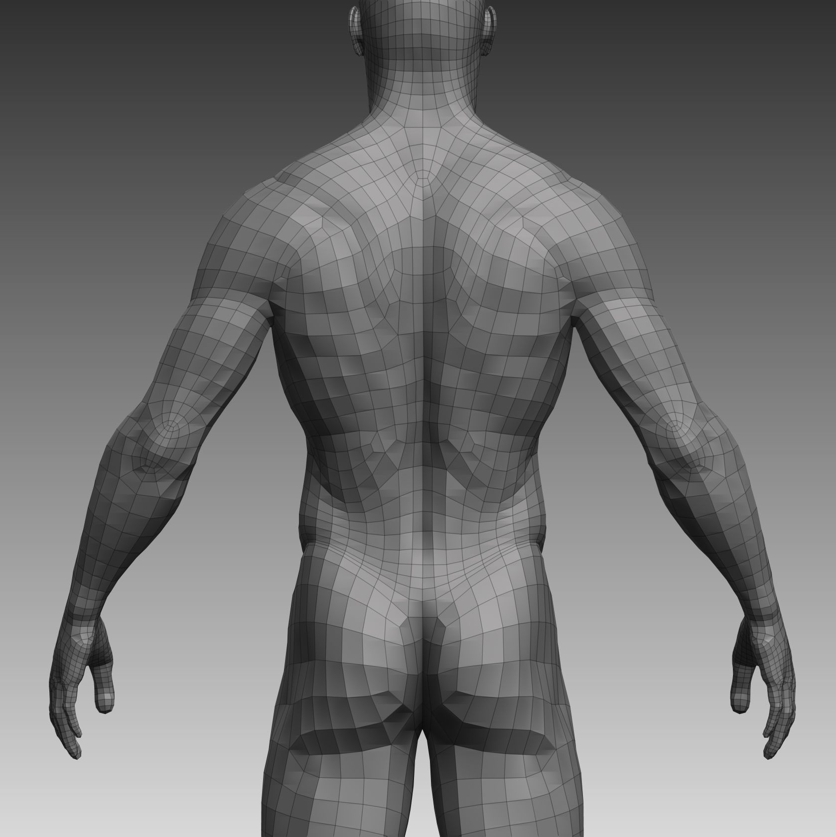 Anatomical body base mesh Low-poly 3D model_28