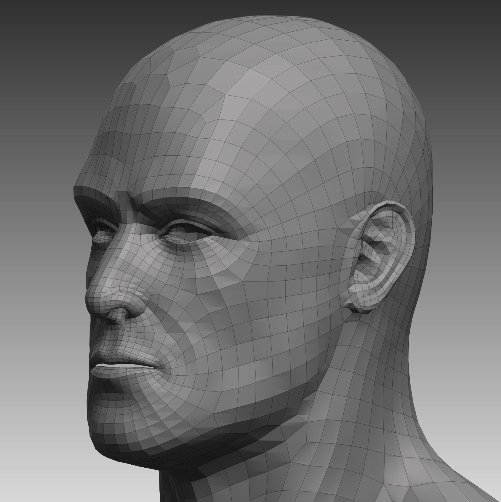 Anatomical body base mesh Low-poly 3D model_23