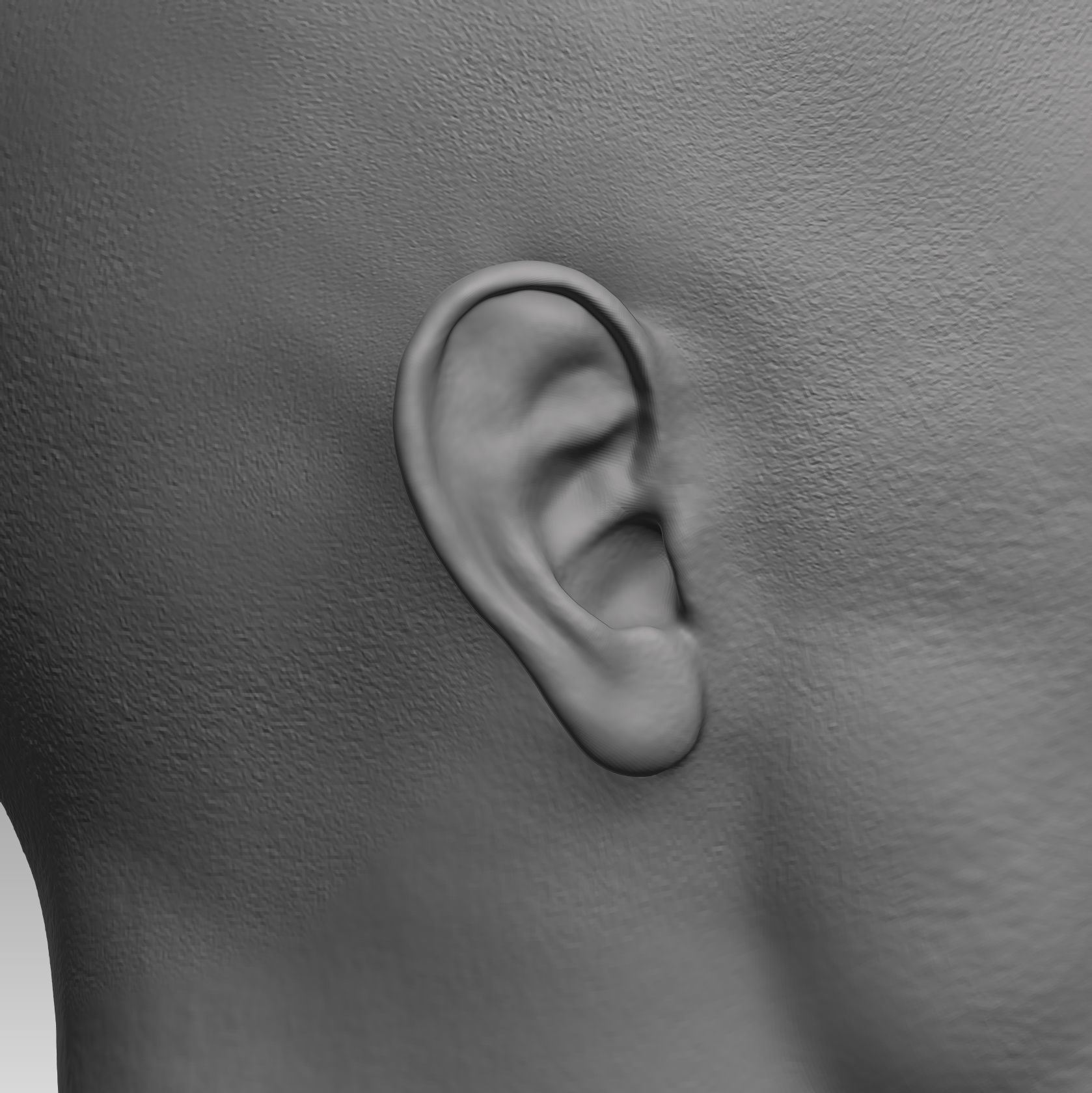 Anatomical body base mesh Low-poly 3D model_16