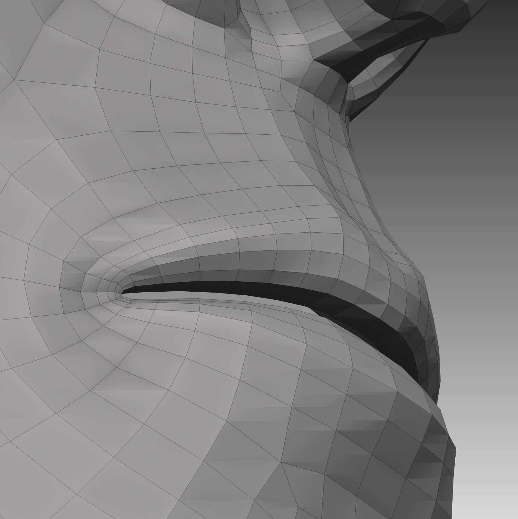 Anatomical body base mesh Low-poly 3D model_25