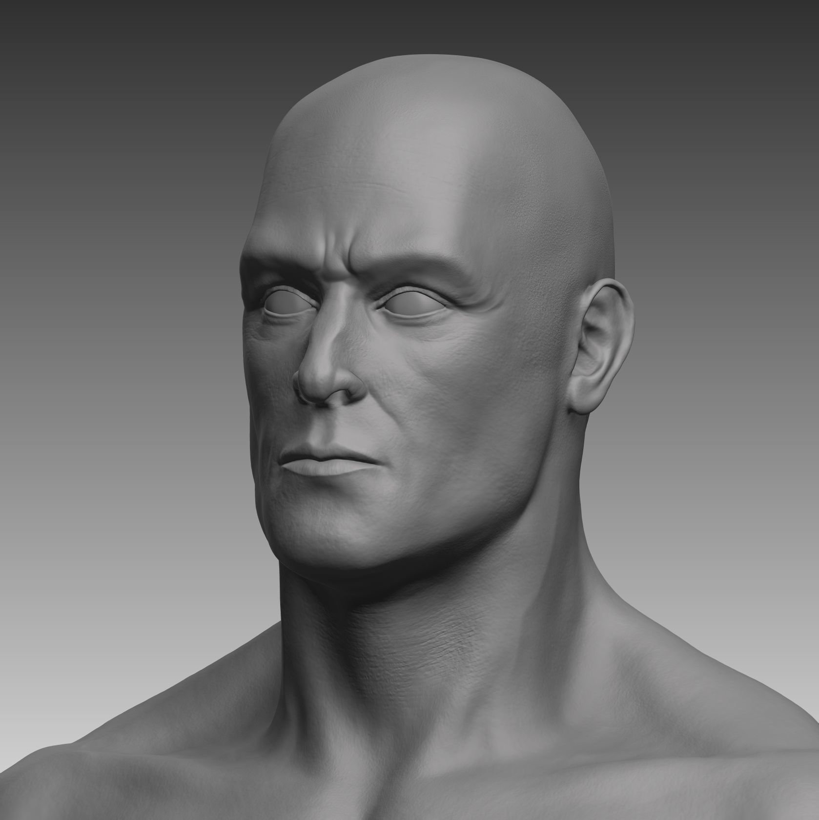 Anatomical body base mesh Low-poly 3D model_2