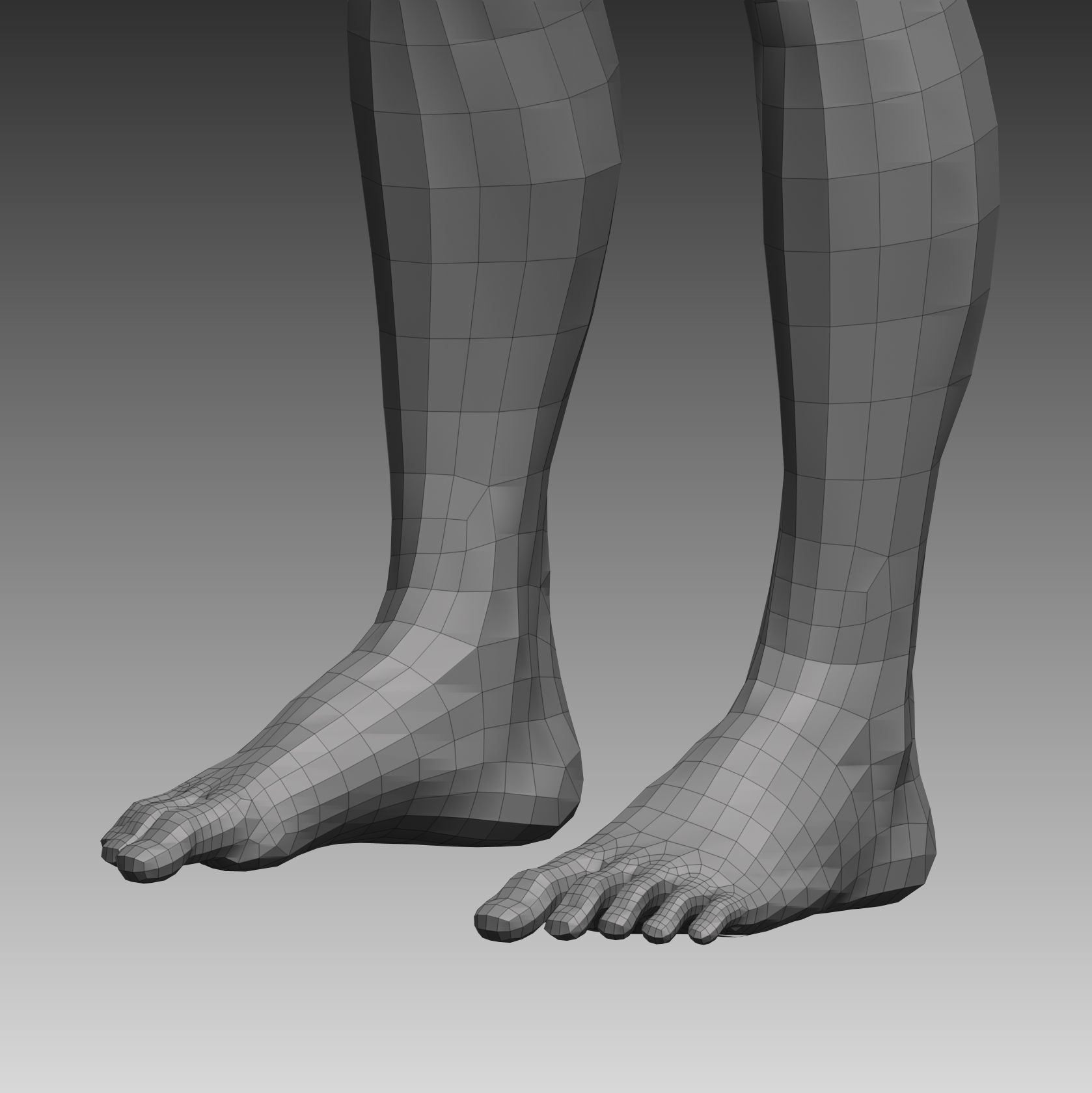 Anatomical body base mesh Low-poly 3D model_30