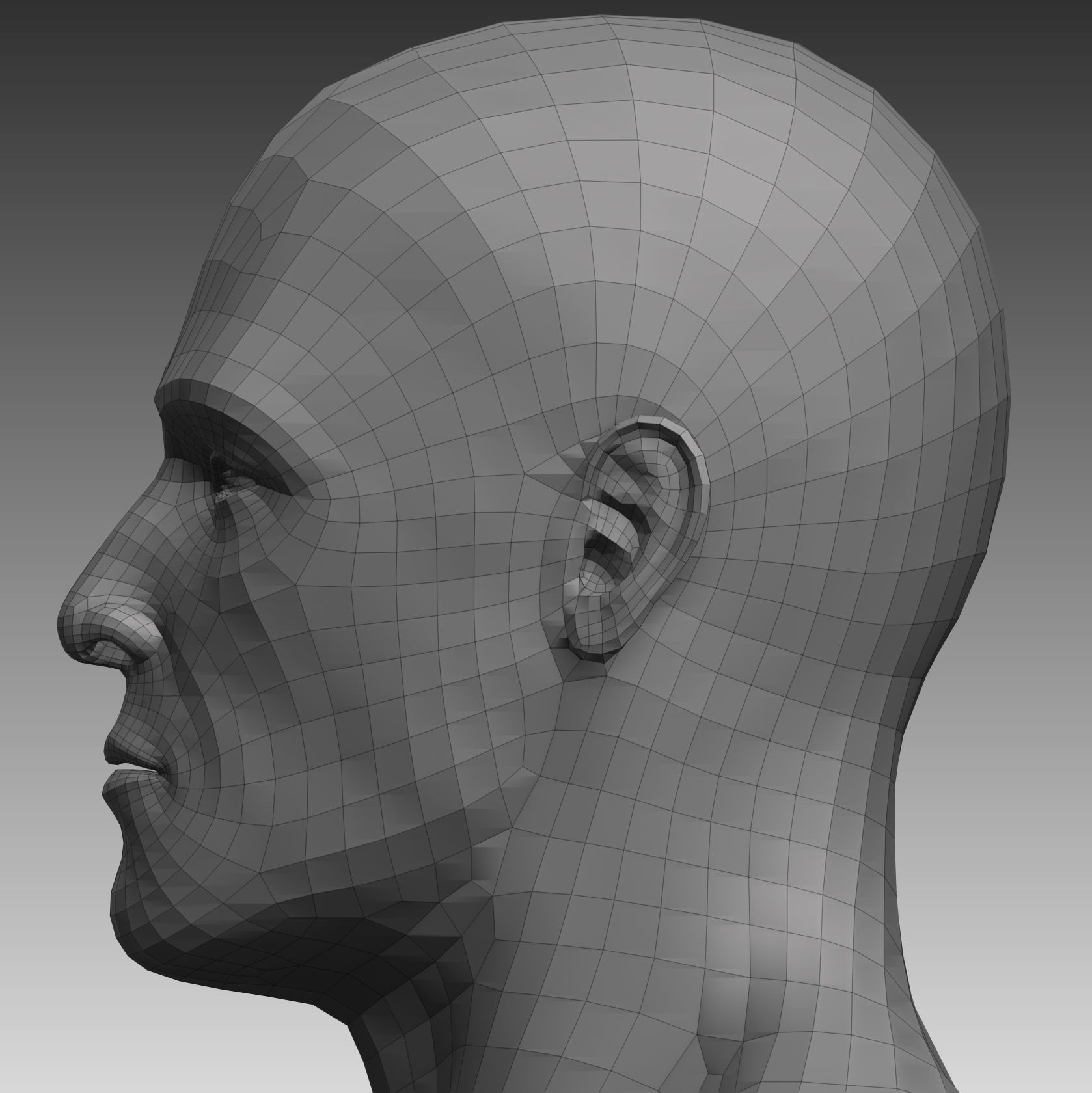 Anatomical body base mesh Low-poly 3D model_24