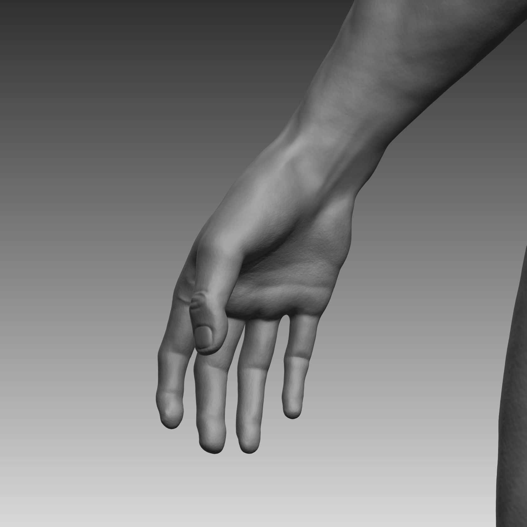 Anatomical body base mesh Low-poly 3D model_12