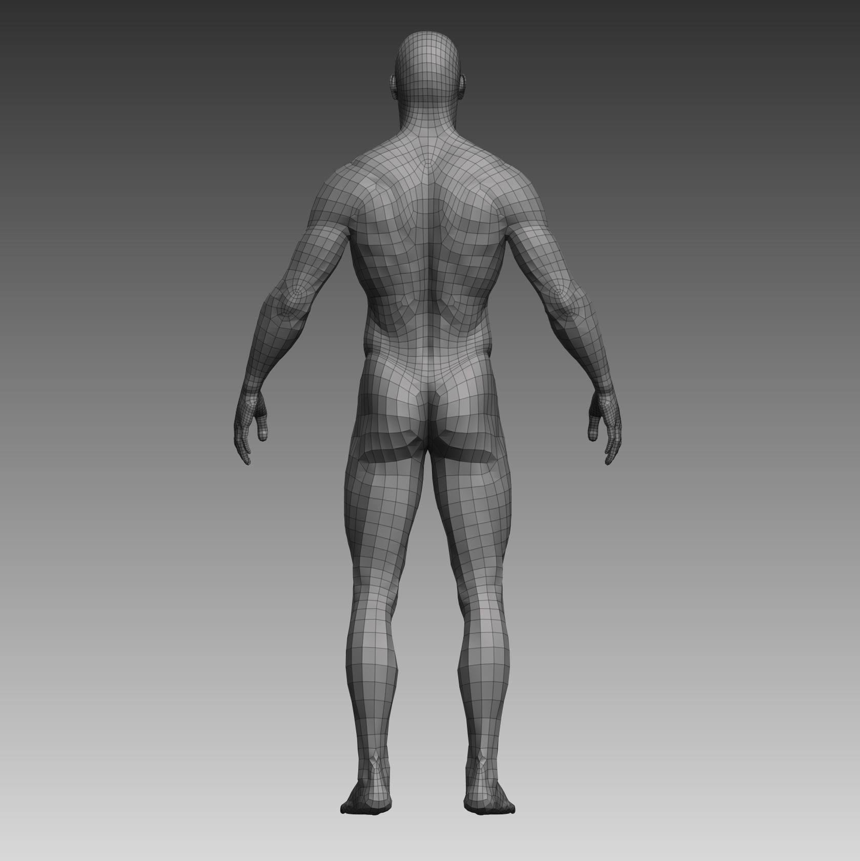 Anatomical body base mesh Low-poly 3D model_3