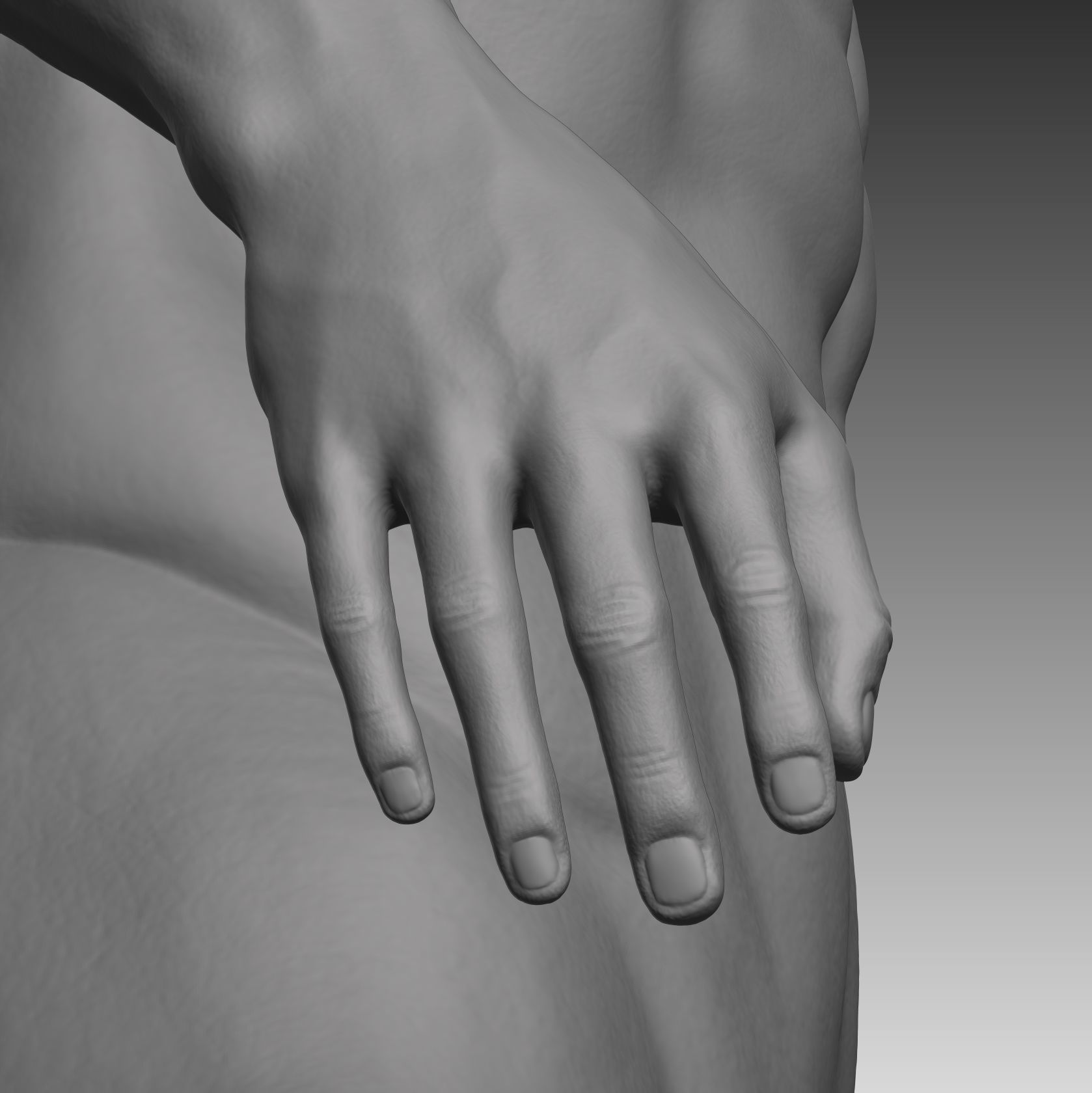 Anatomical body base mesh Low-poly 3D model_18