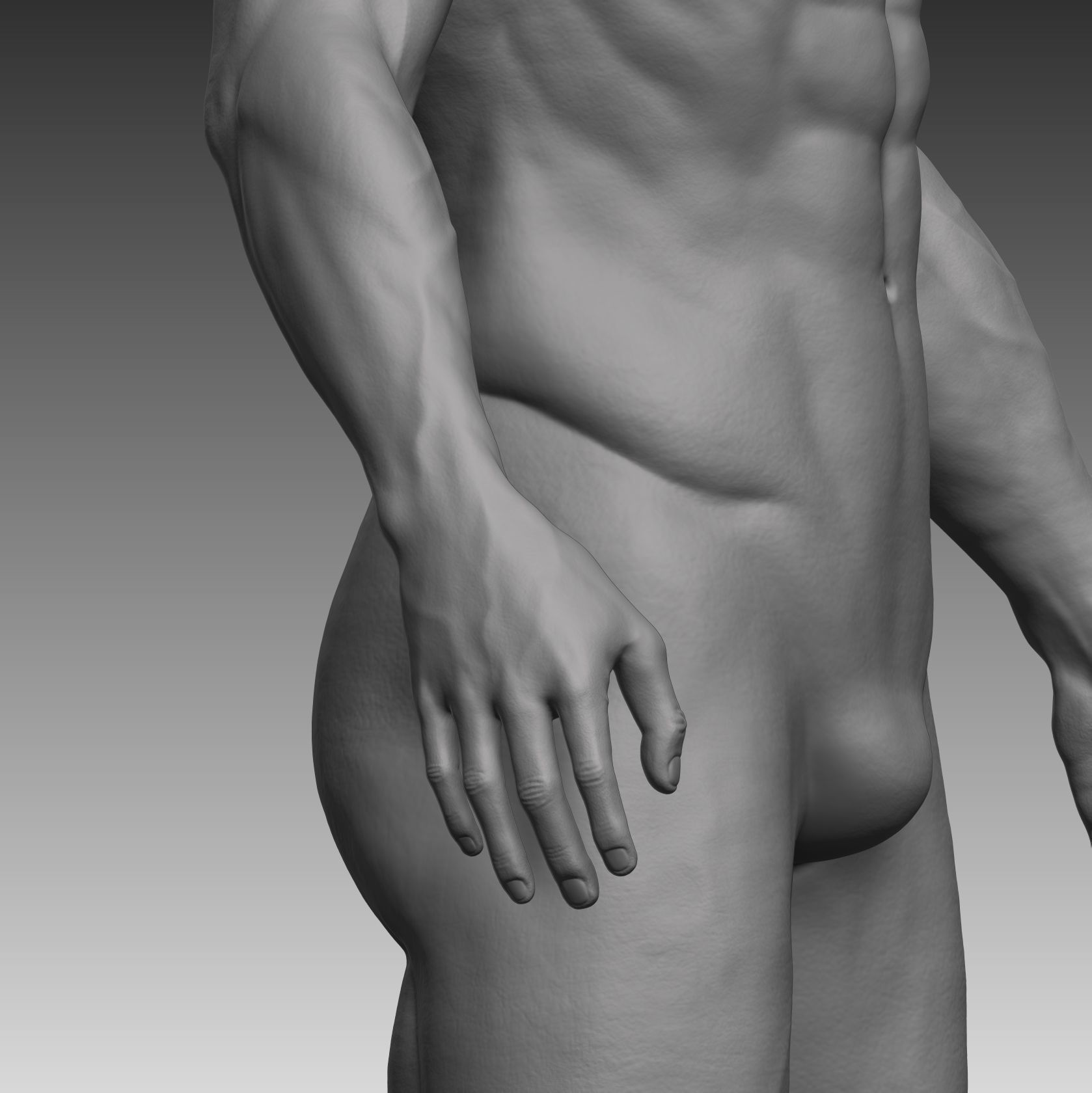 Anatomical body base mesh Low-poly 3D model_11