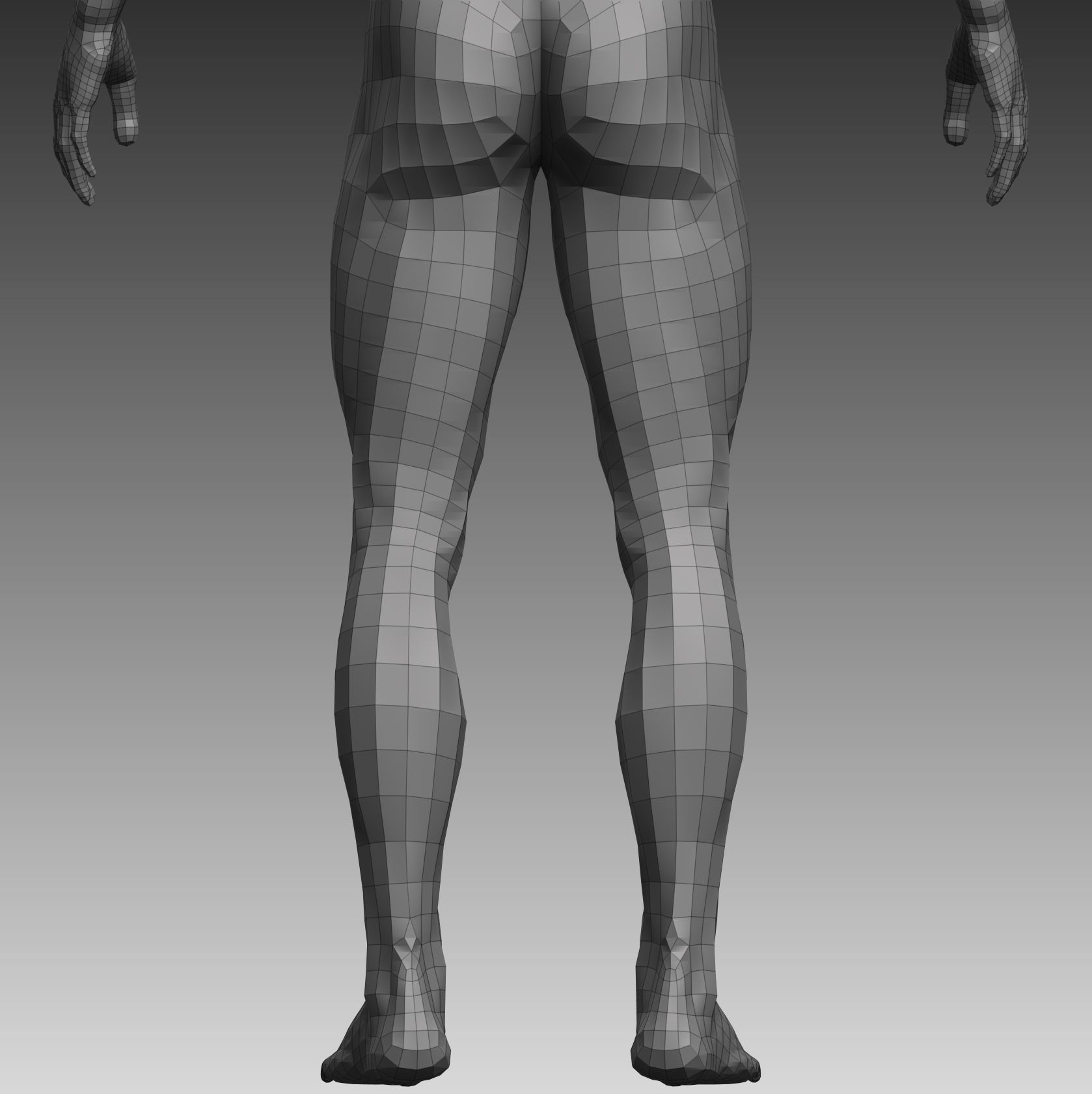 Anatomical body base mesh Low-poly 3D model_29