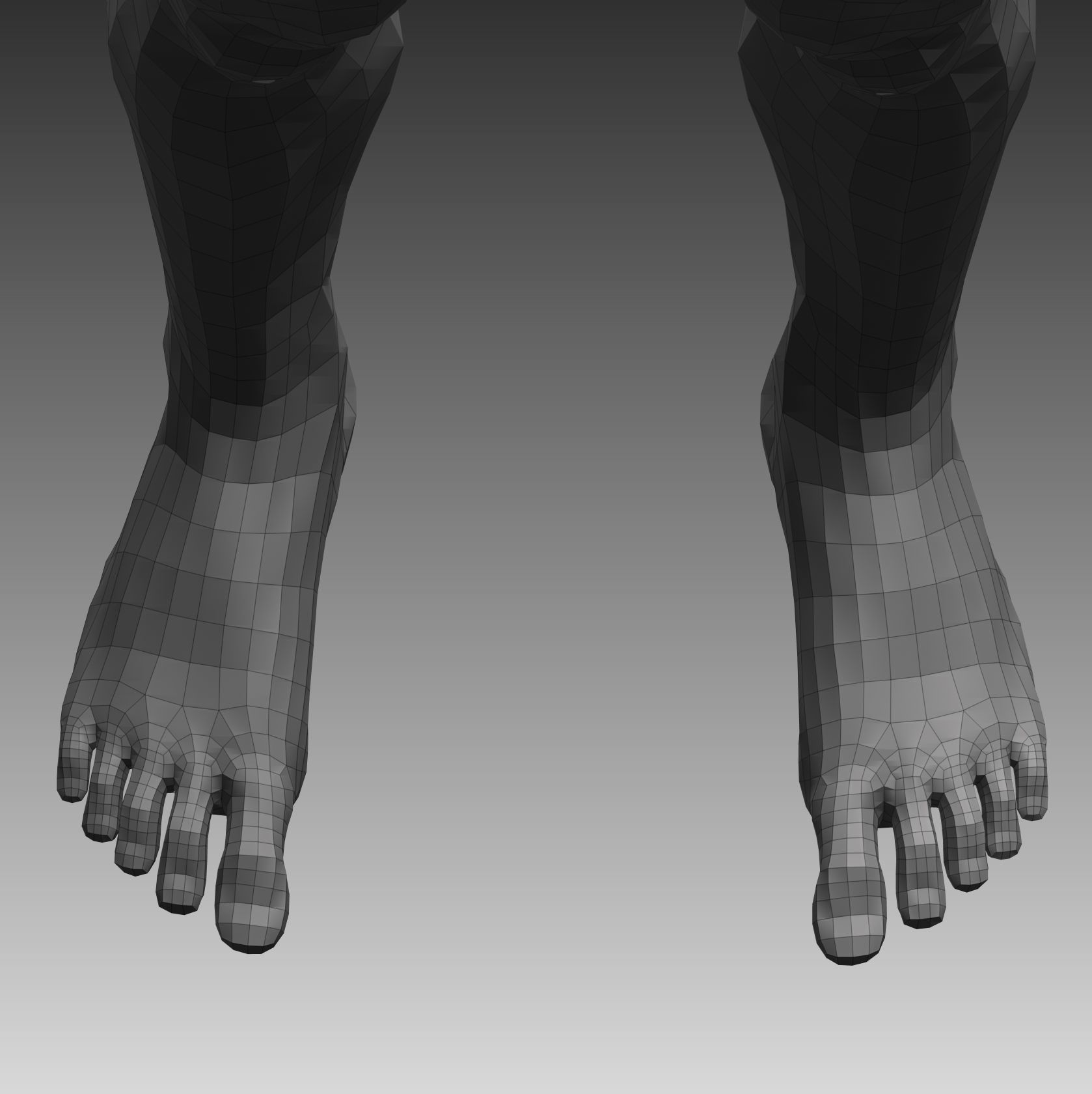 Anatomical body base mesh Low-poly 3D model_31