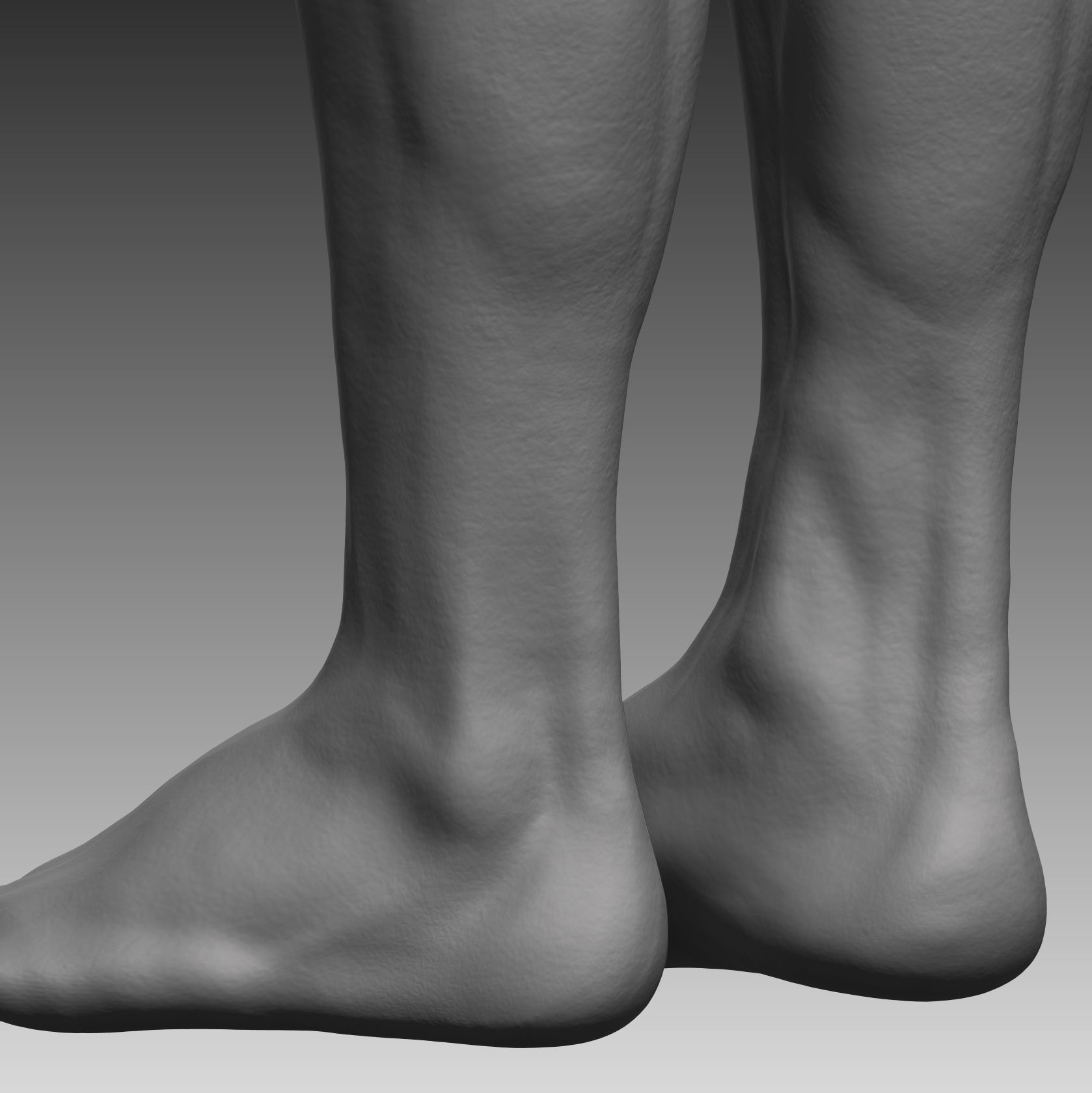 Anatomical body base mesh Low-poly 3D model_8