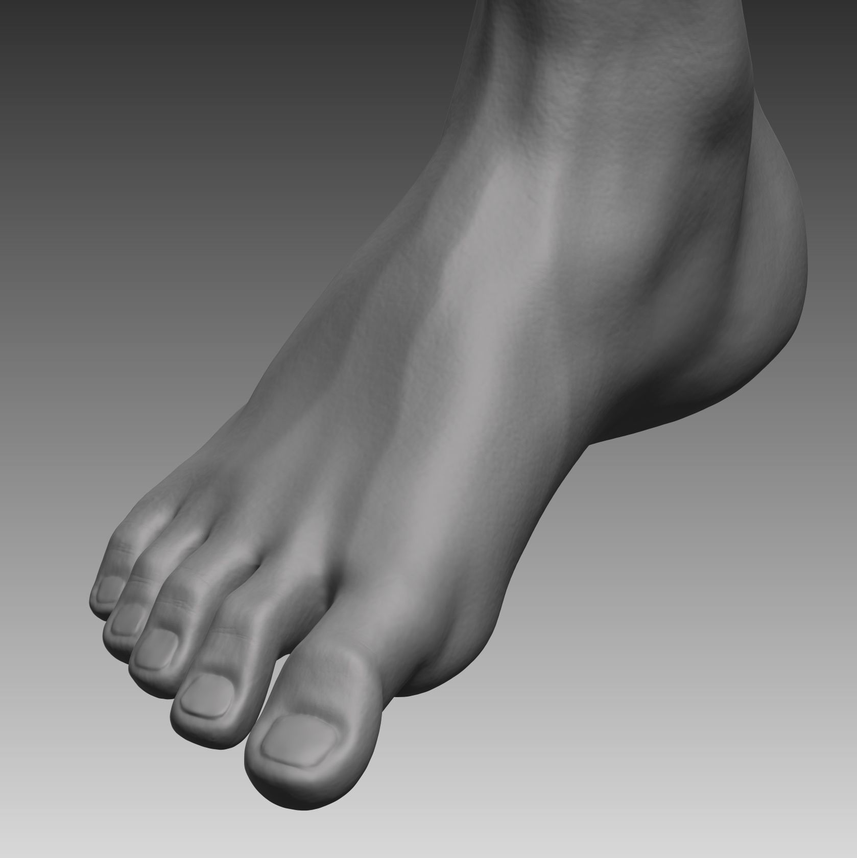 Anatomical body base mesh Low-poly 3D model_7