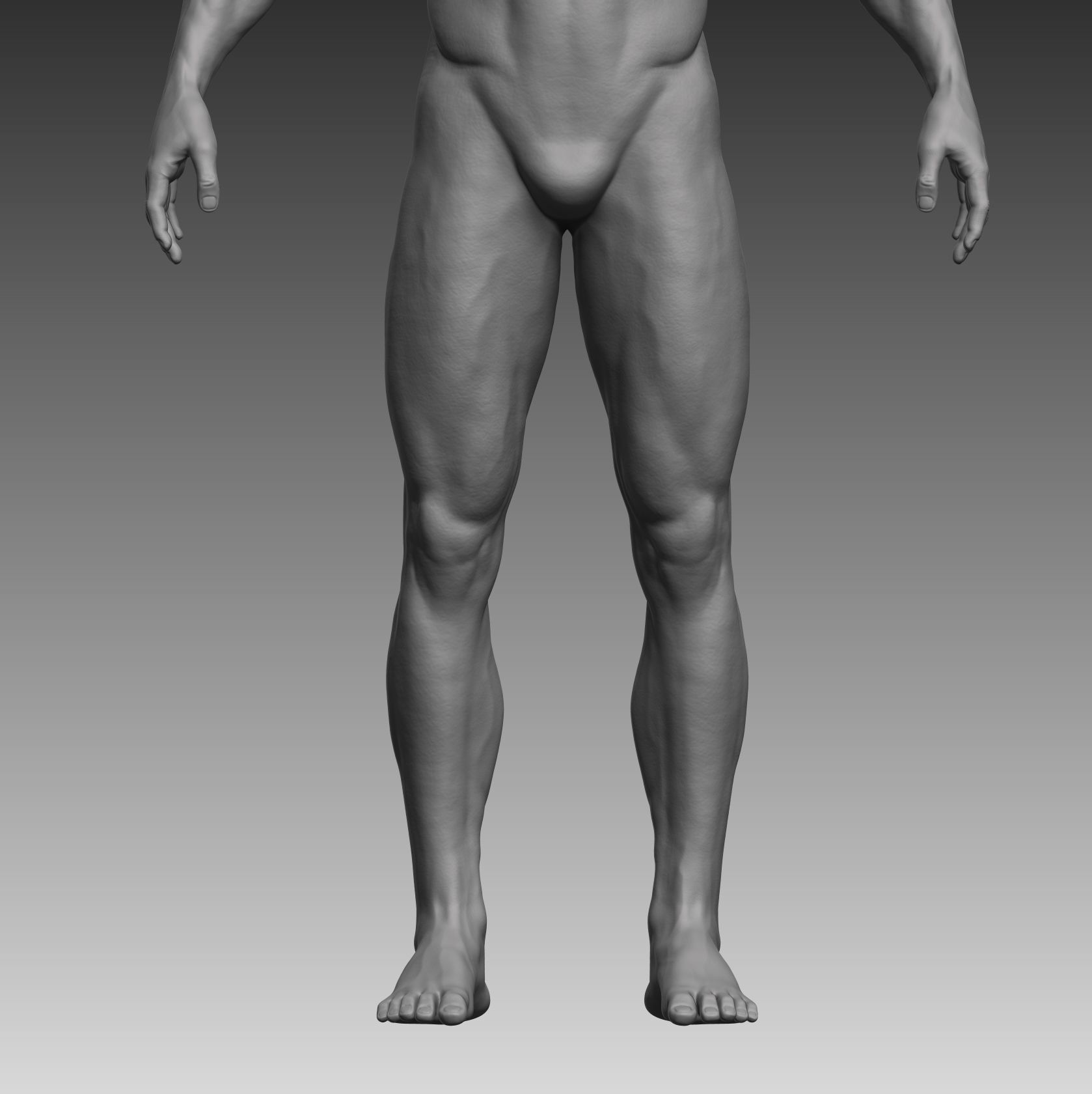 Anatomical body base mesh Low-poly 3D model_5