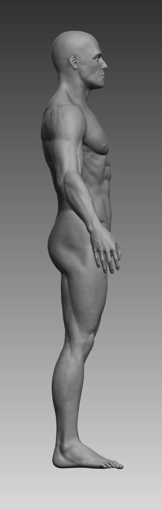Anatomical body base mesh Low-poly 3D model_32