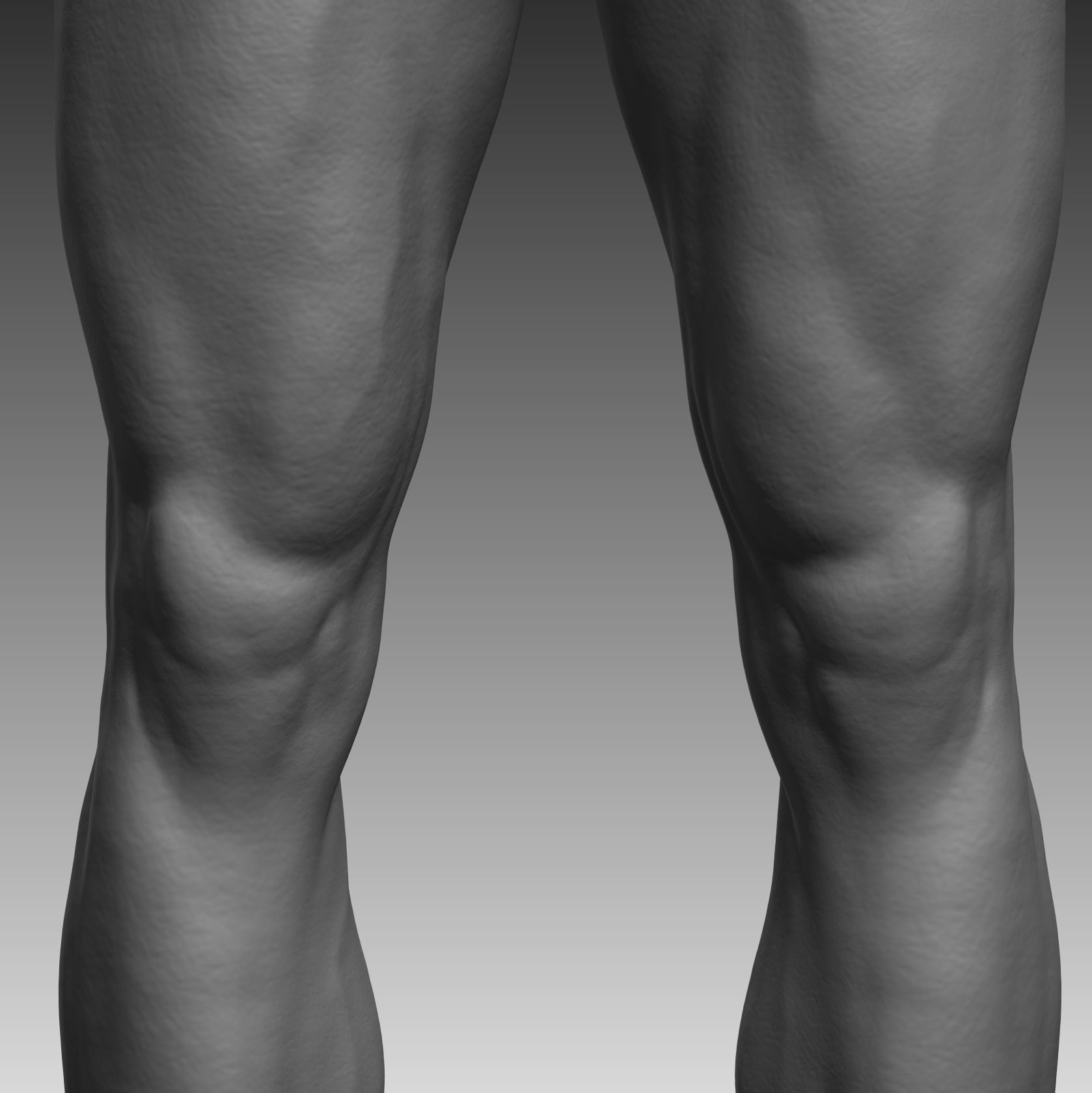 Anatomical body base mesh Low-poly 3D model_10