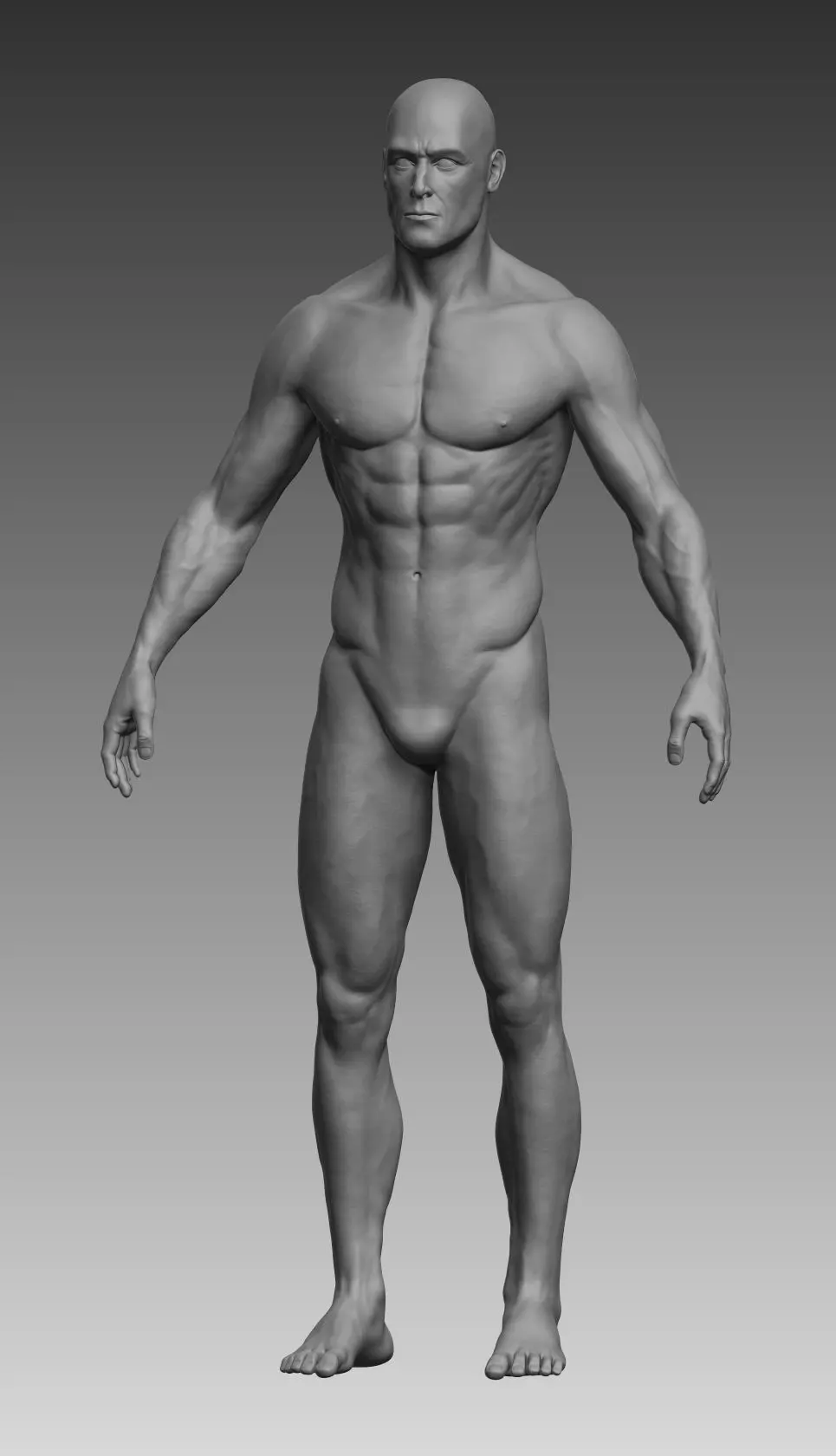 Anatomical body base mesh Low-poly 3D model_0