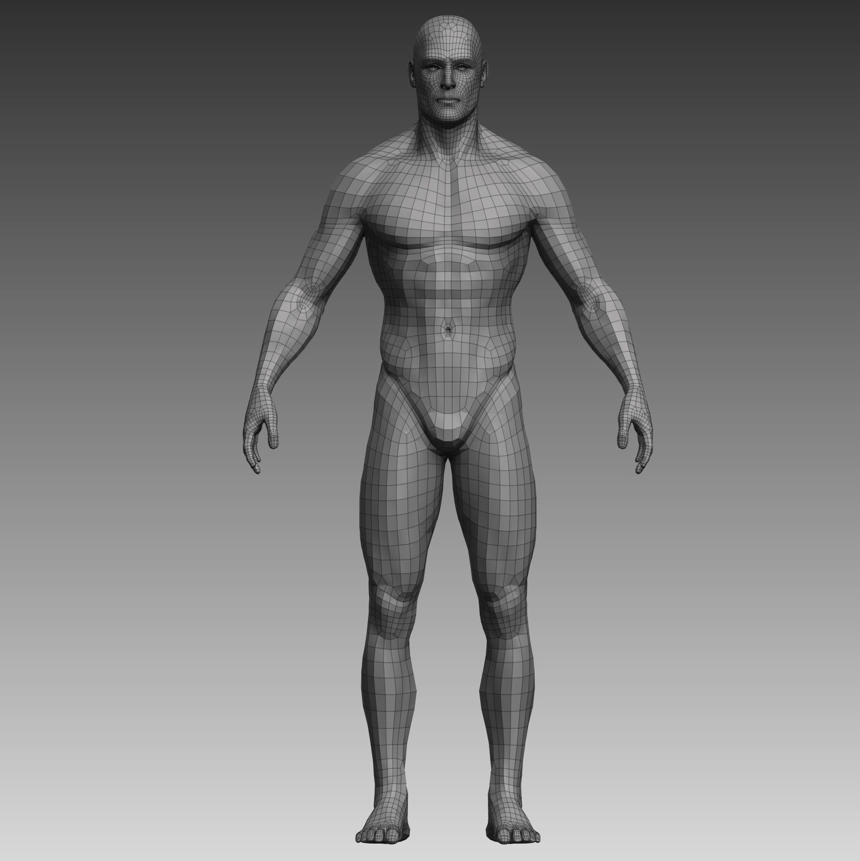 Anatomical body base mesh Low-poly 3D model_21