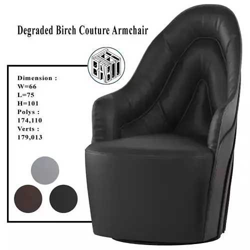 Degraded Birch Couture Armchair  3D model