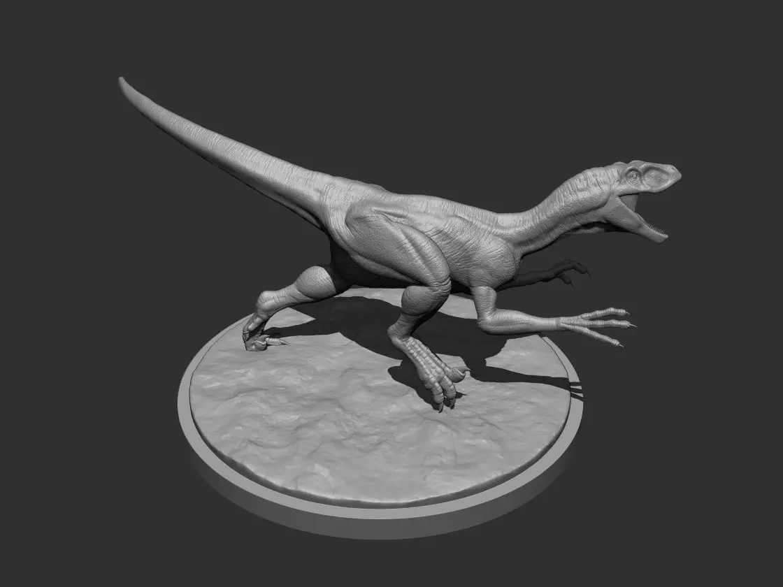 3D Raptor for Printing 01 3D print model
