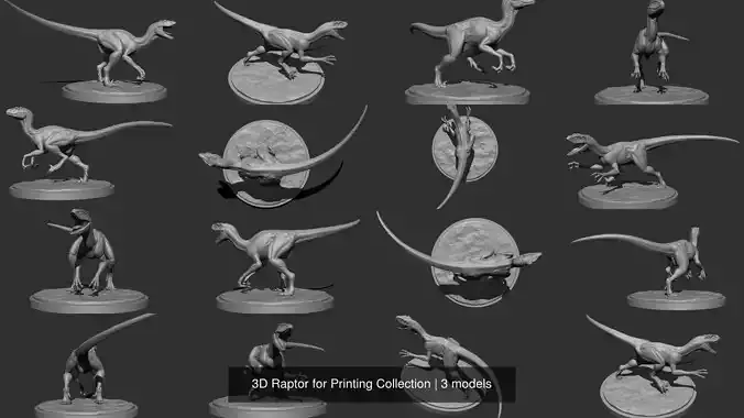 3D Raptor for Printing Collection 