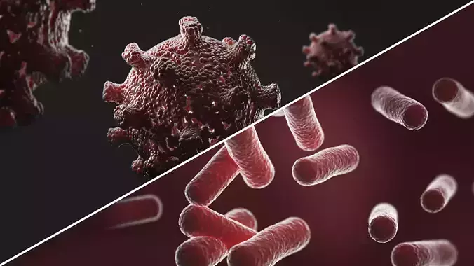 Bacterias coronavirus 3D Model Collection