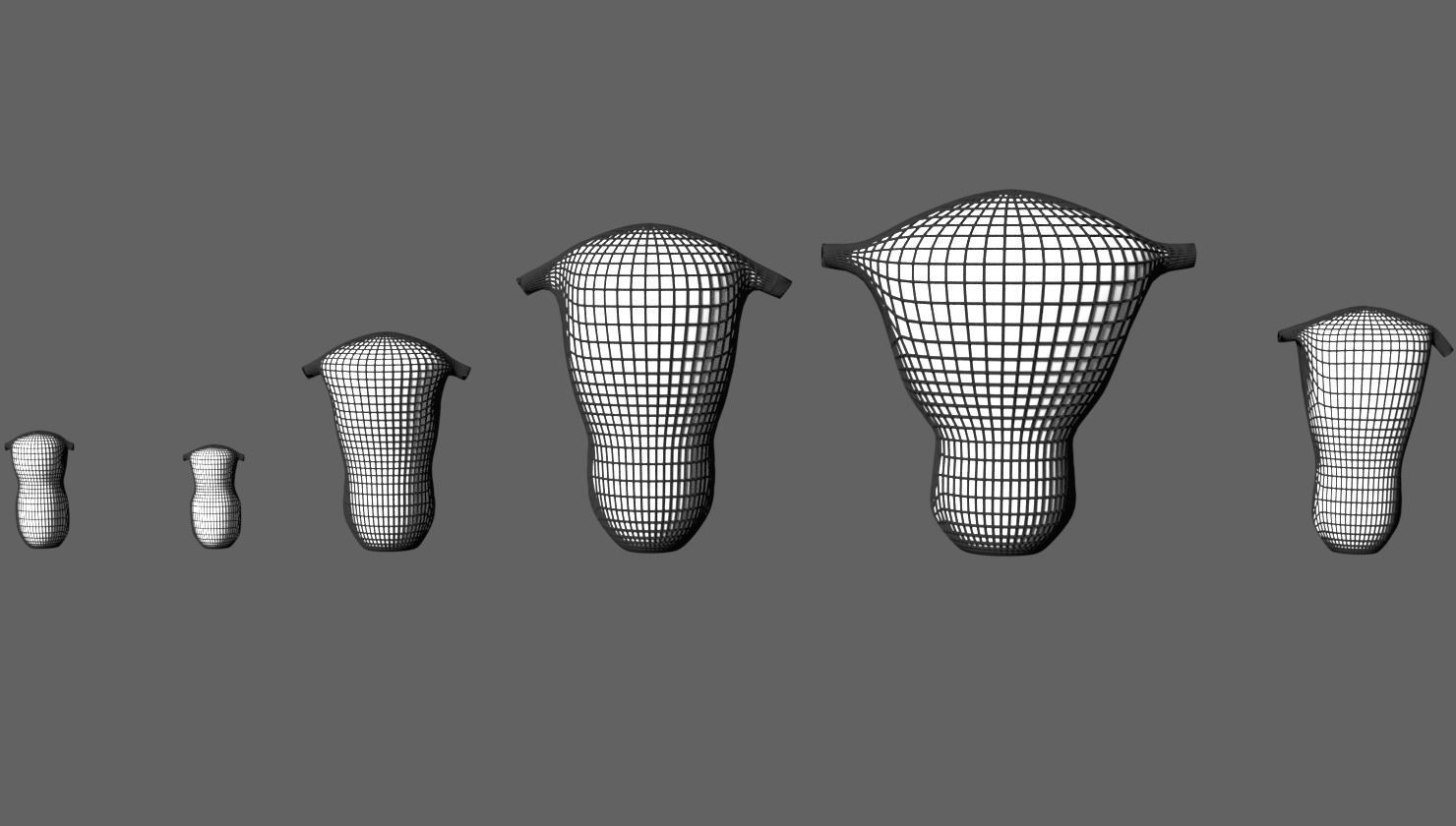 uterus stages  cut section animated labelled 3D model_14