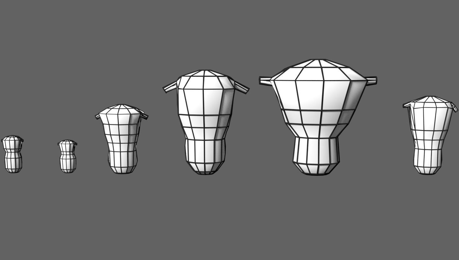 uterus stages  cut section animated labelled 3D model_15