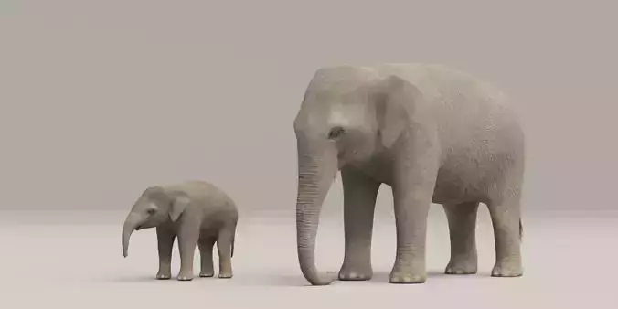 Rigged Adult Elephant And Baby Elephant