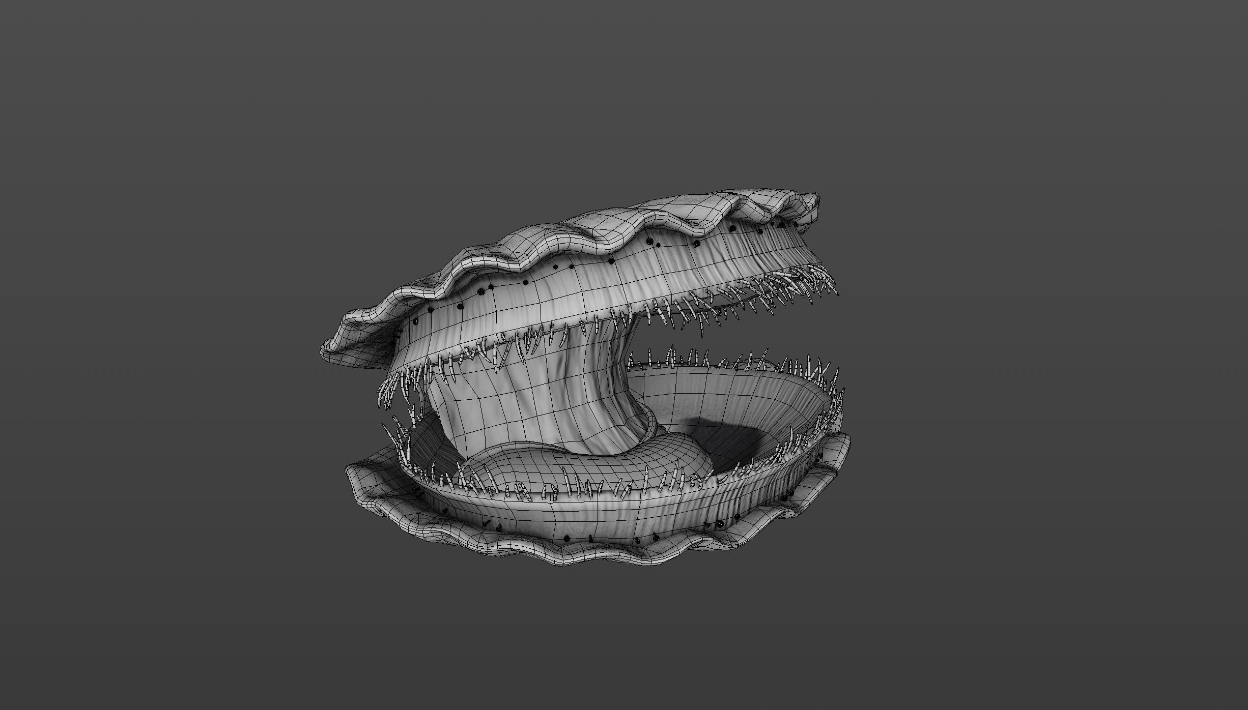 Scallop shell Low-poly 3D model_6