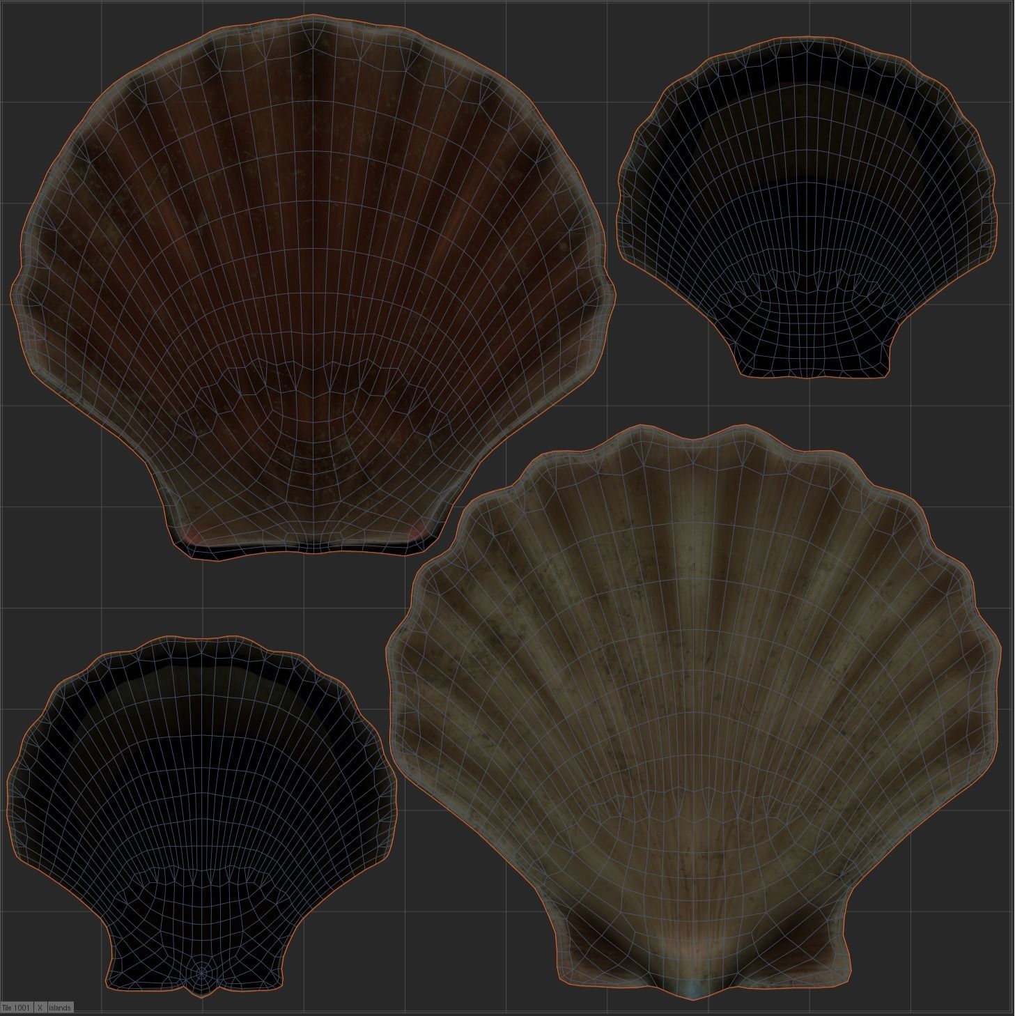 Scallop shell Low-poly 3D model_8