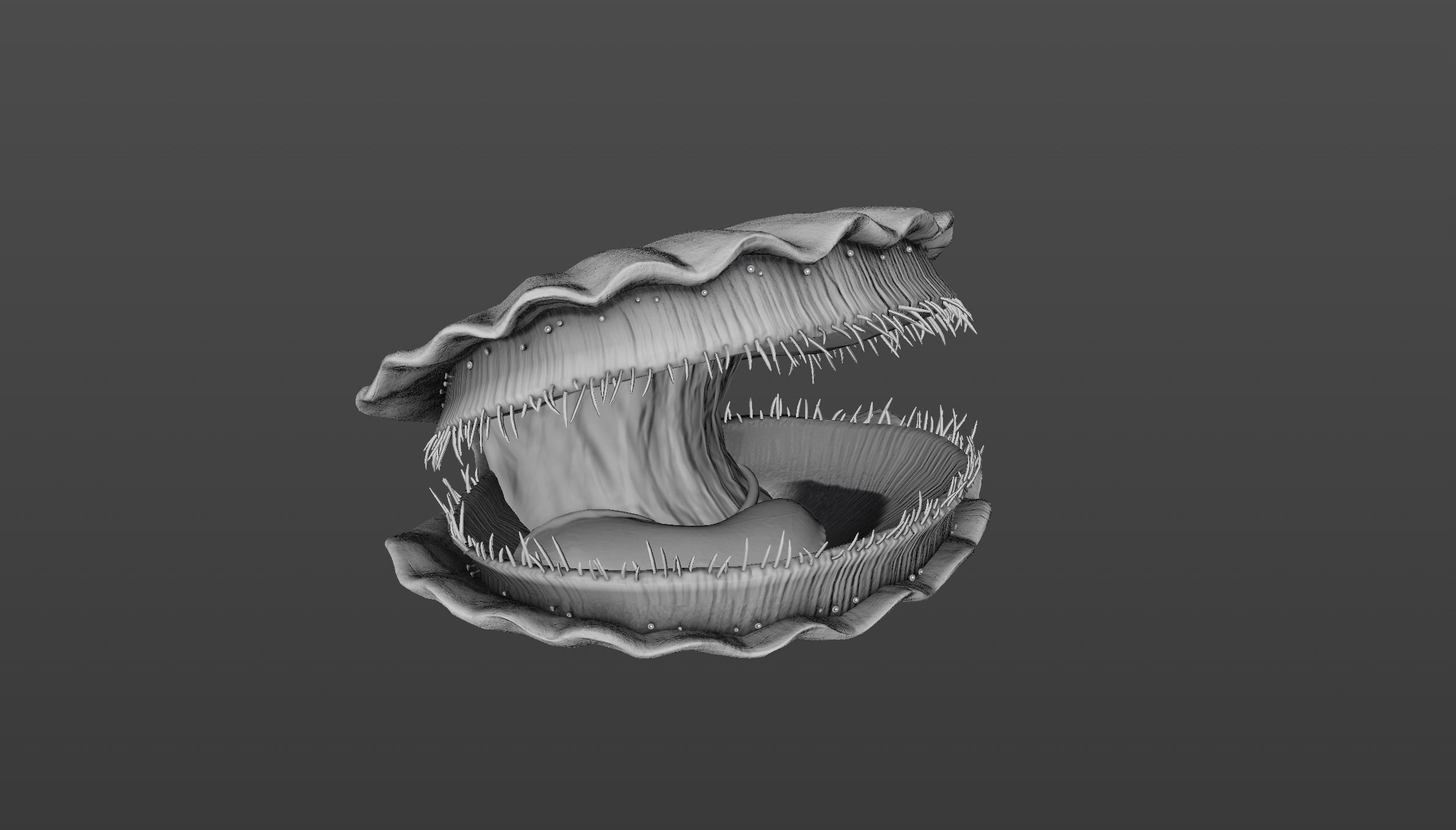 Scallop shell Low-poly 3D model_7