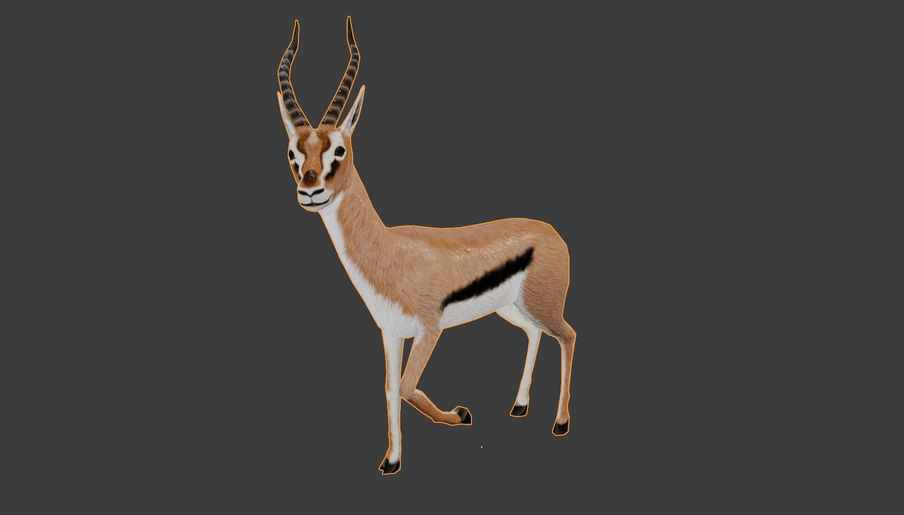 Gazelle  Low-poly 3D model_7