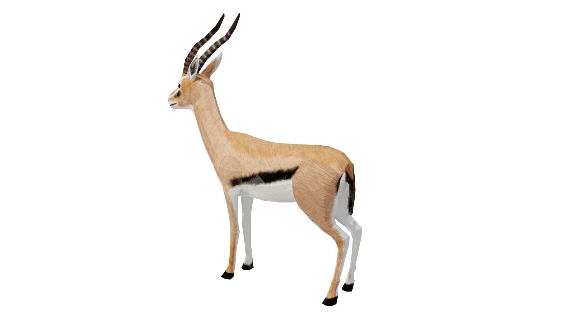 Gazelle  Low-poly 3D model_1