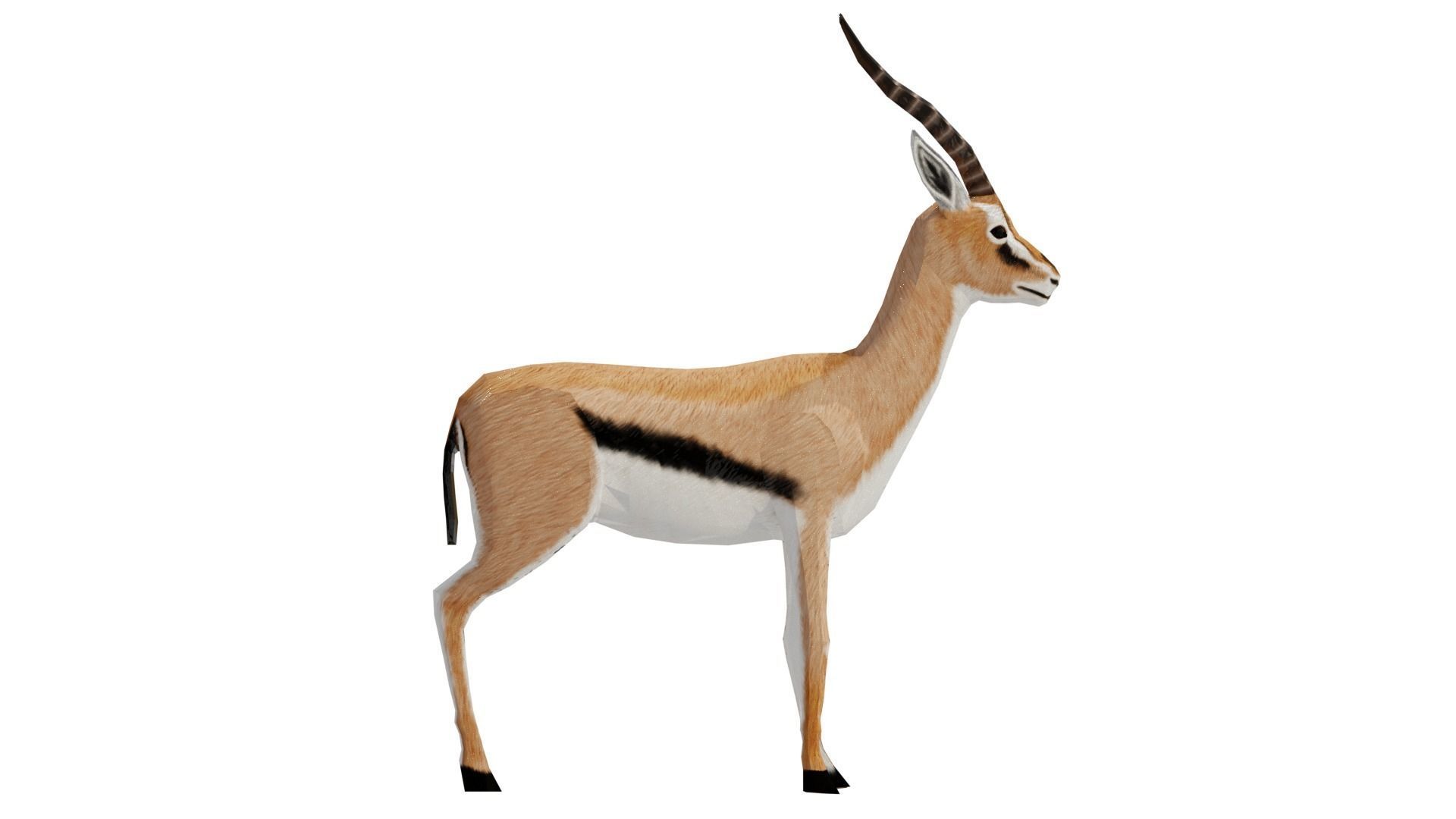 Gazelle  Low-poly 3D model_3