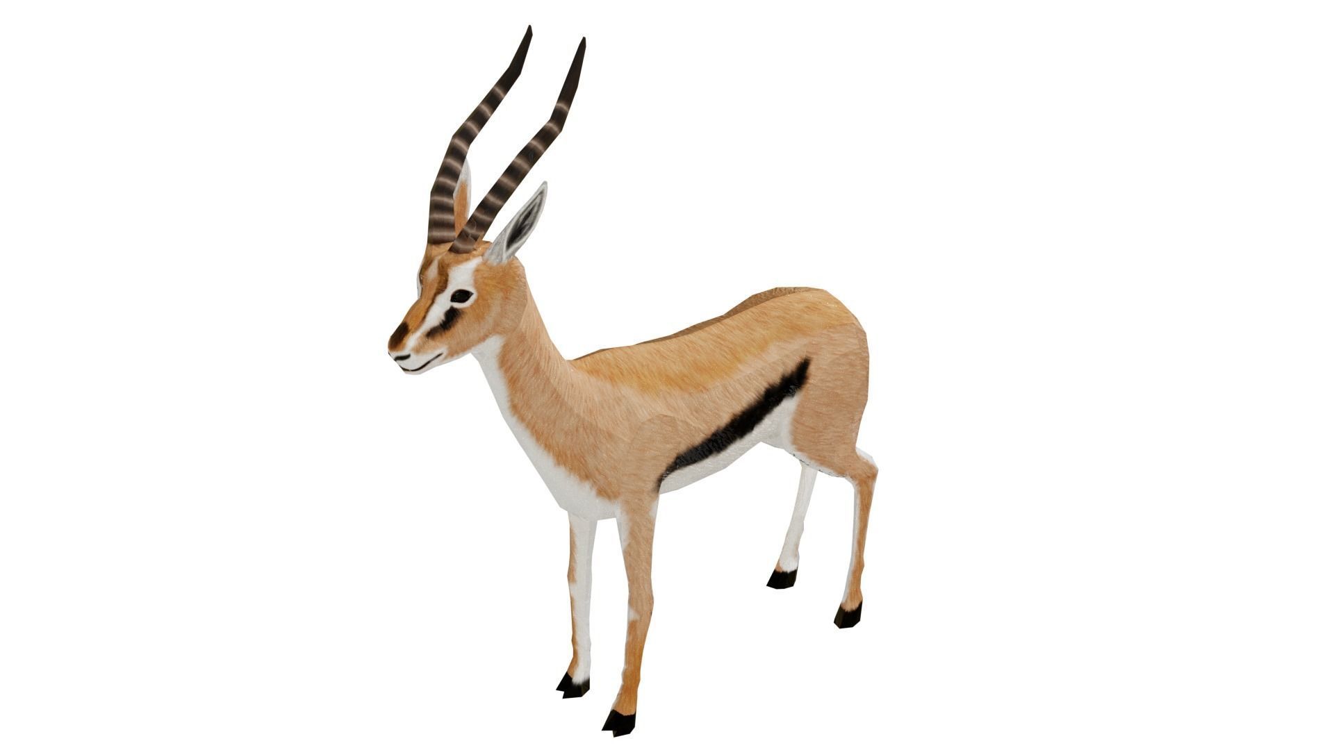 Gazelle  Low-poly 3D model_0