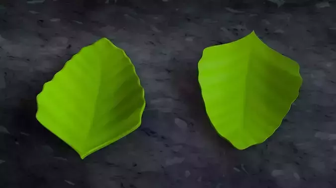 Dish leaf 3D print model