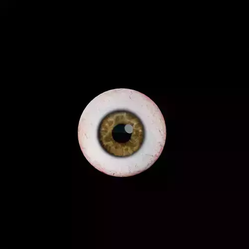 Realistic eye cycle  3D model