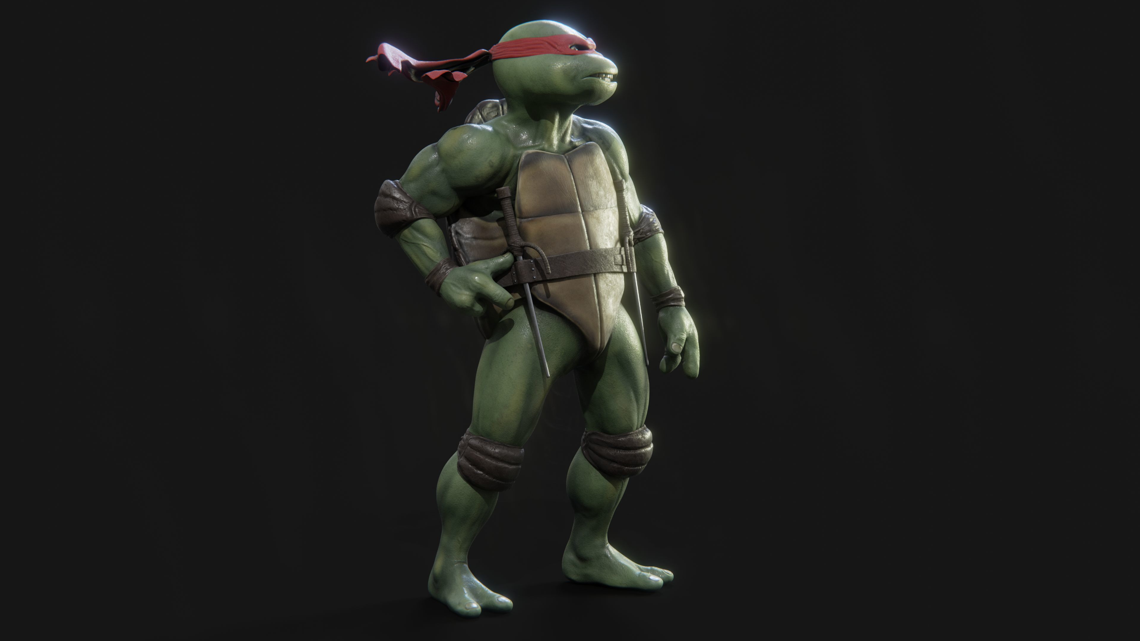 Raphael Teenage Mutant Ninja Turtle Low-poly 3D model_3