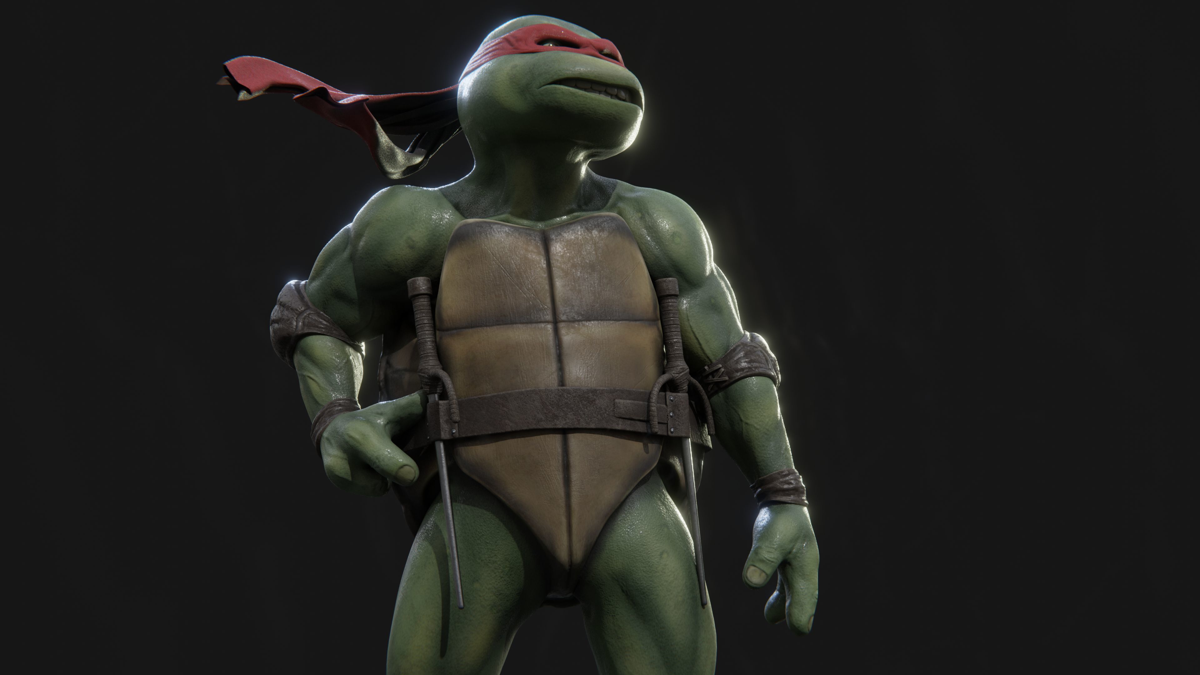 Raphael Teenage Mutant Ninja Turtle Low-poly 3D model_1
