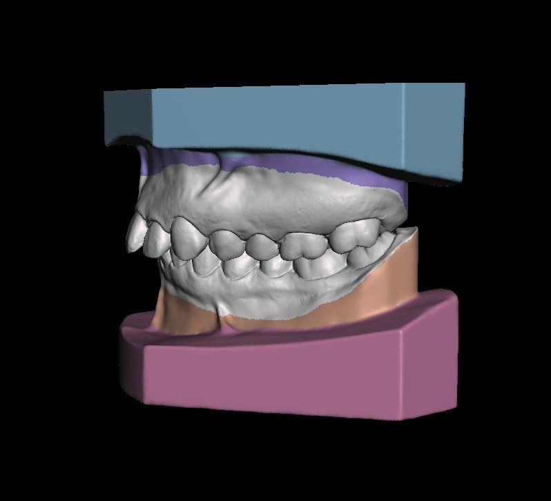 Ortho Model Base Low-poly 3D model_4