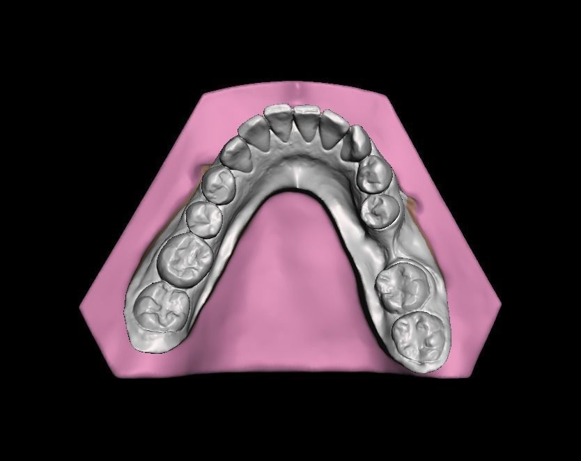 Ortho Model Base Low-poly 3D model_8