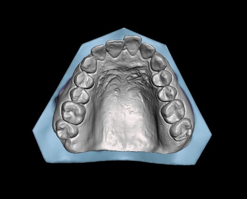 Ortho Model Base Low-poly 3D model_6
