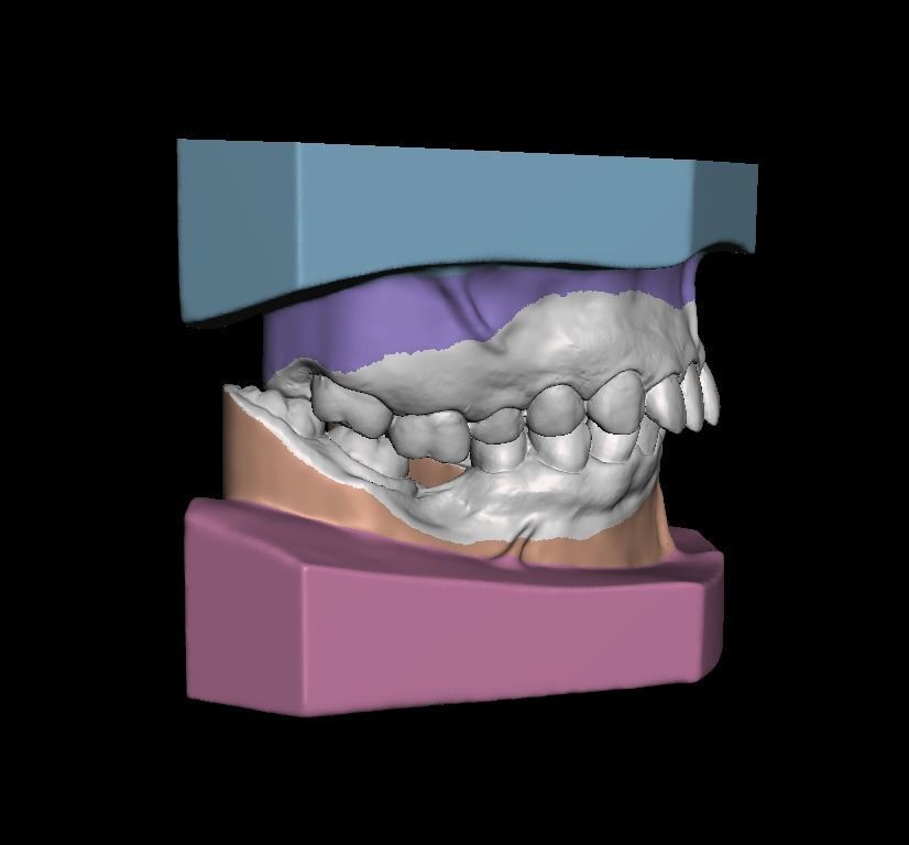 Ortho Model Base Low-poly 3D model_2