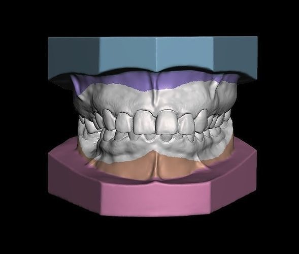 Ortho Model Base Low-poly 3D model