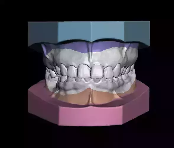 Ortho Model Base Low-poly 3D model